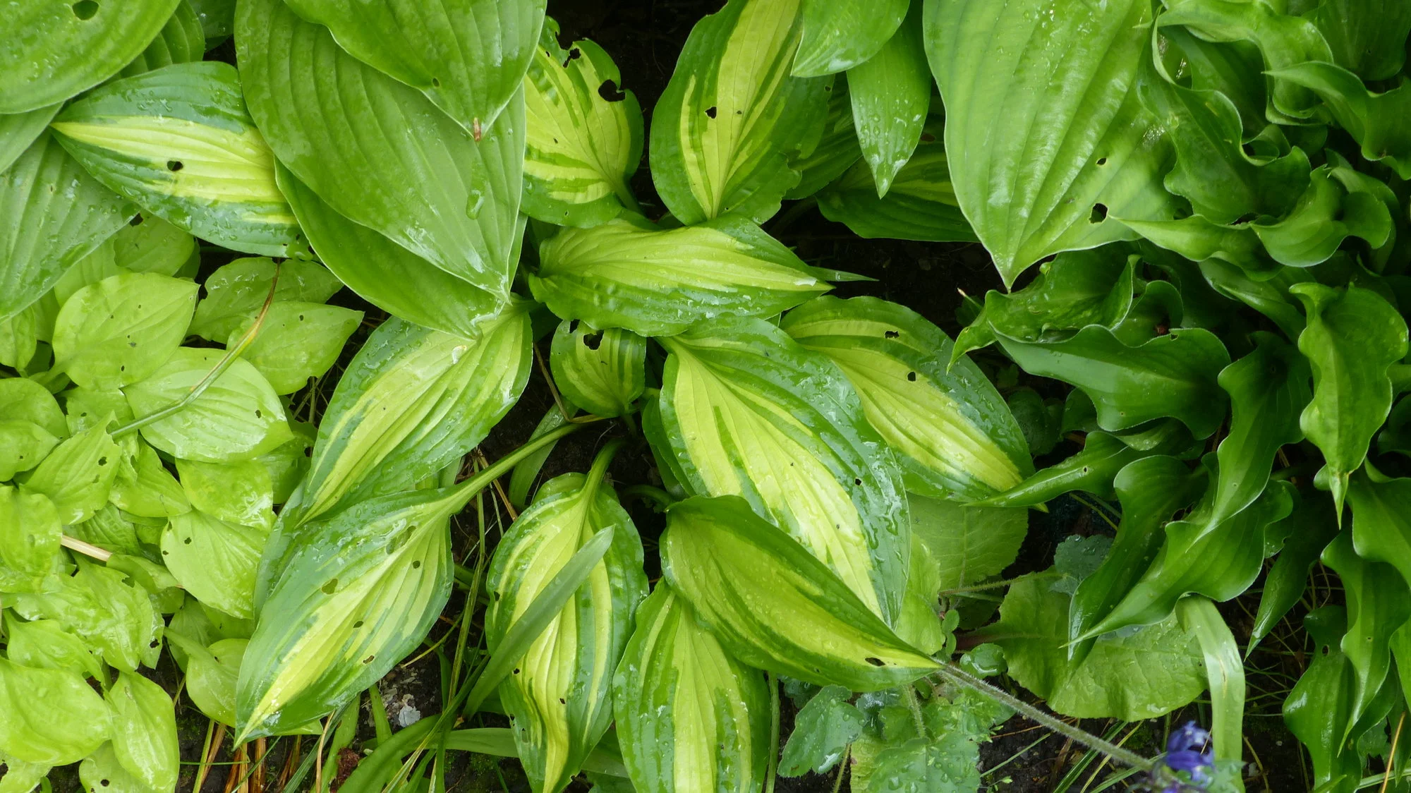 P1230026.webp