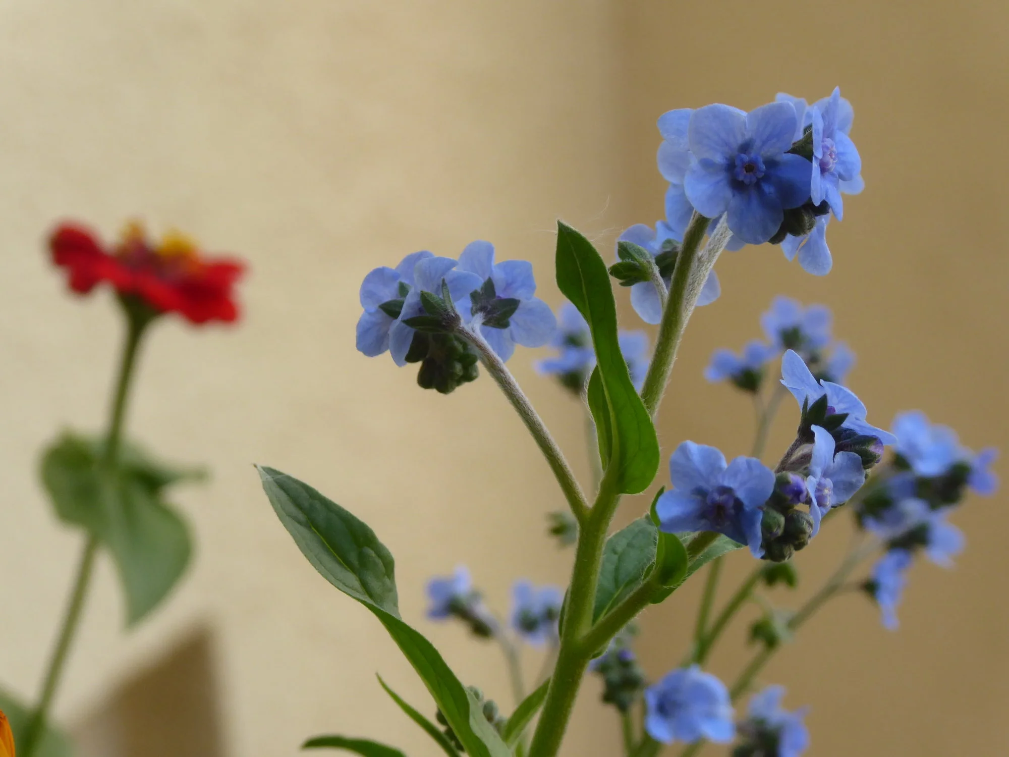 P1230076.webp