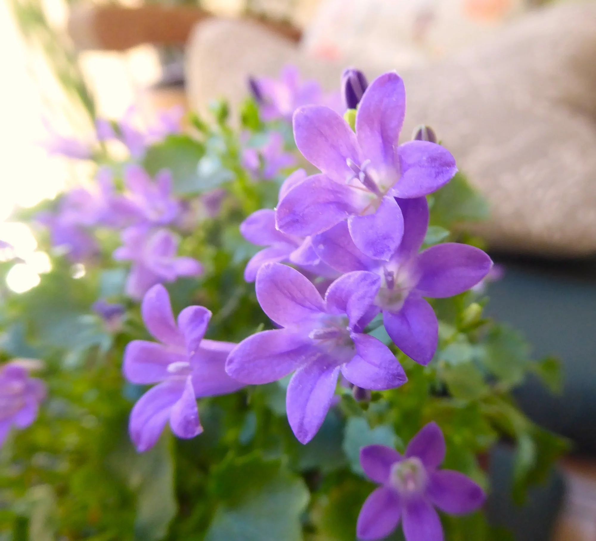 P1230189.webp