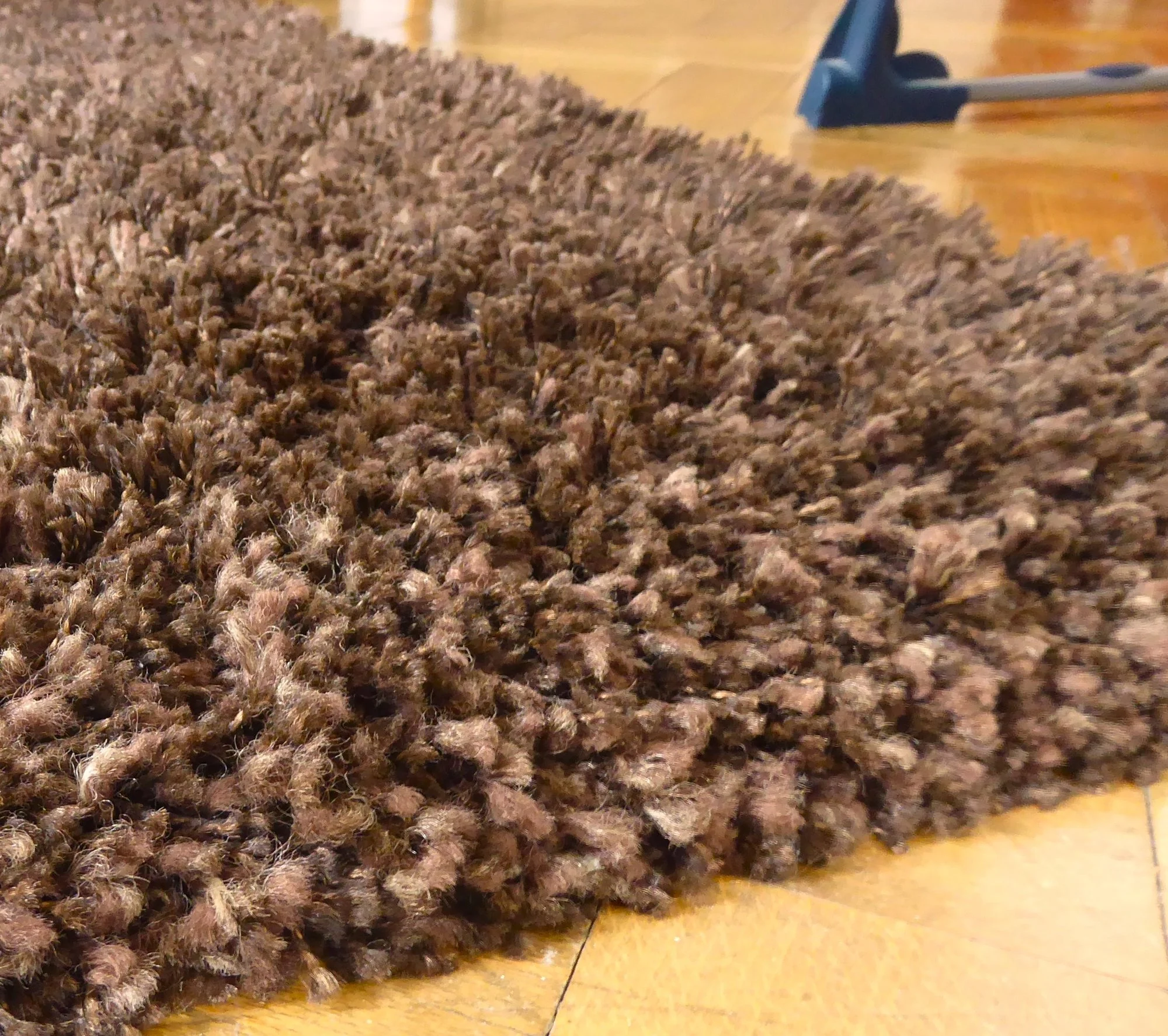 P1230233.webp
