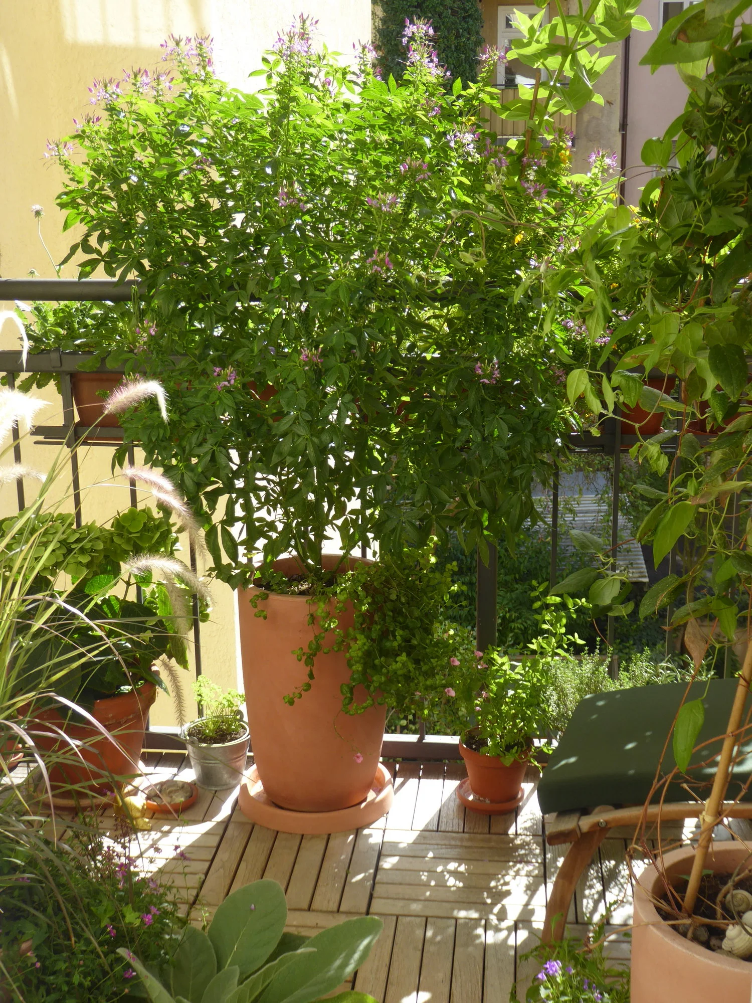 P1230331.webp