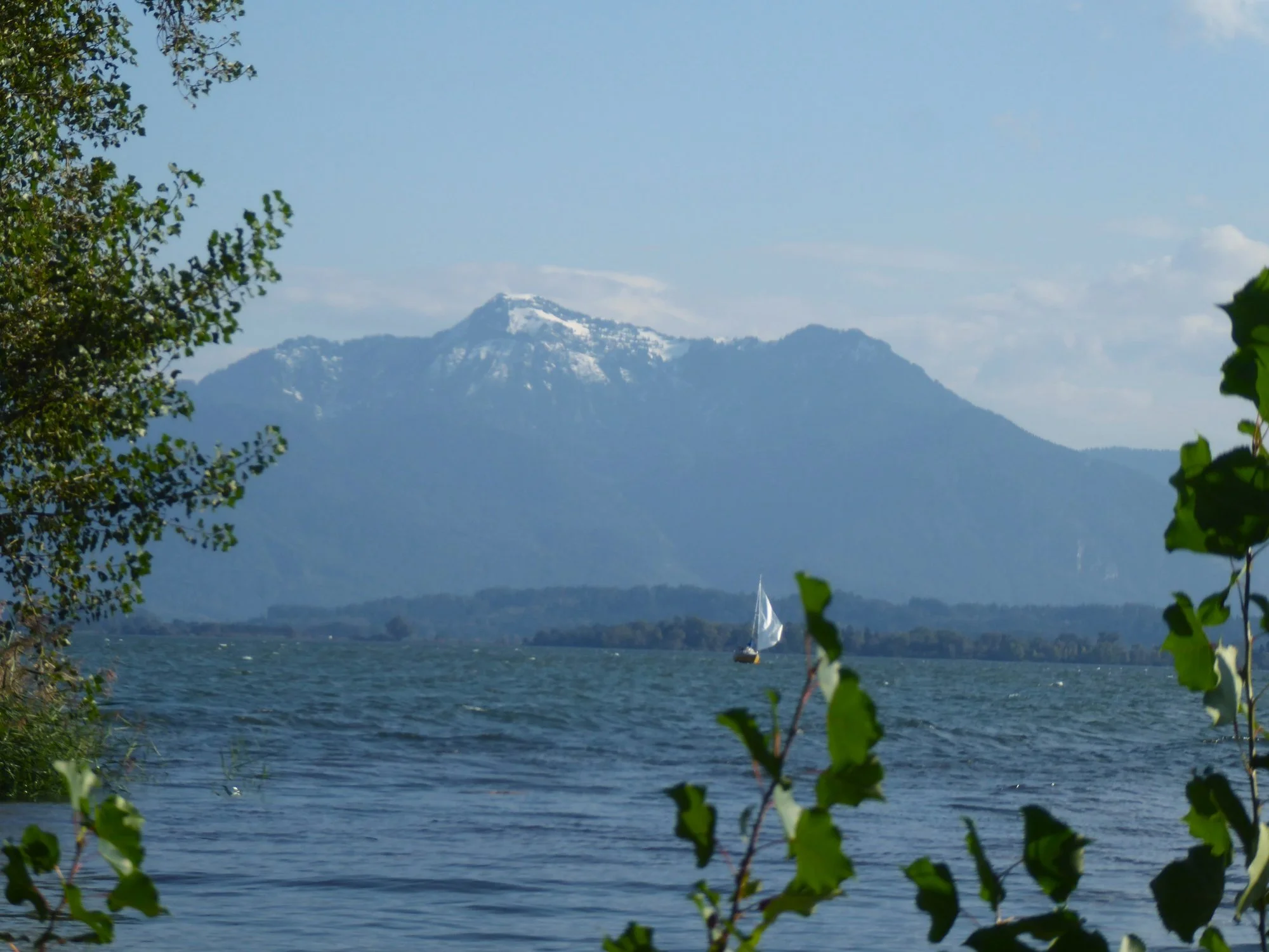 P1230372.webp