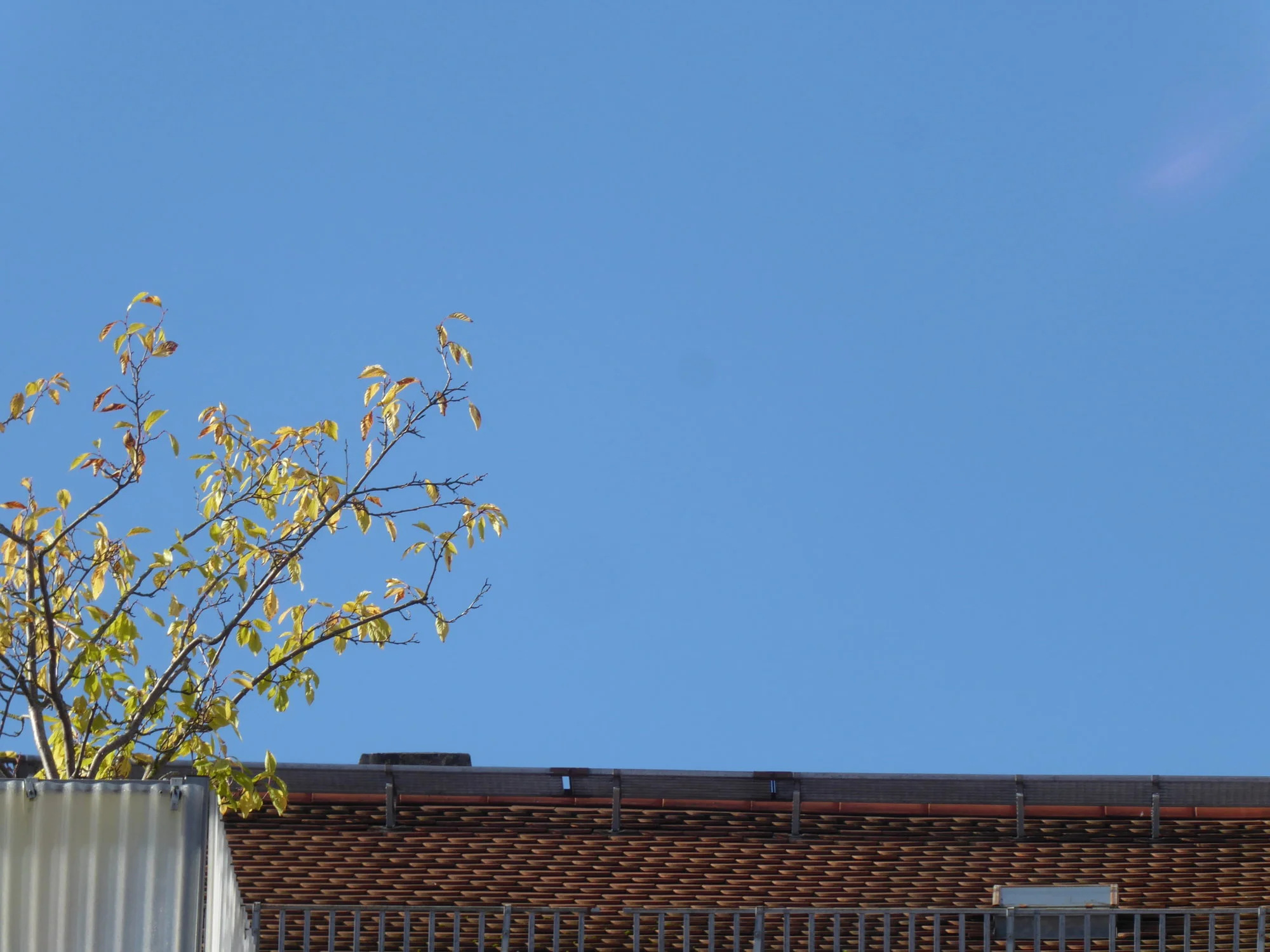P1230419.webp