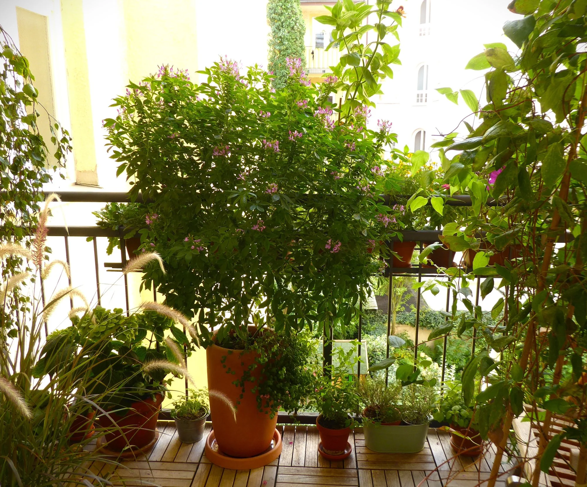 P1230534.webp