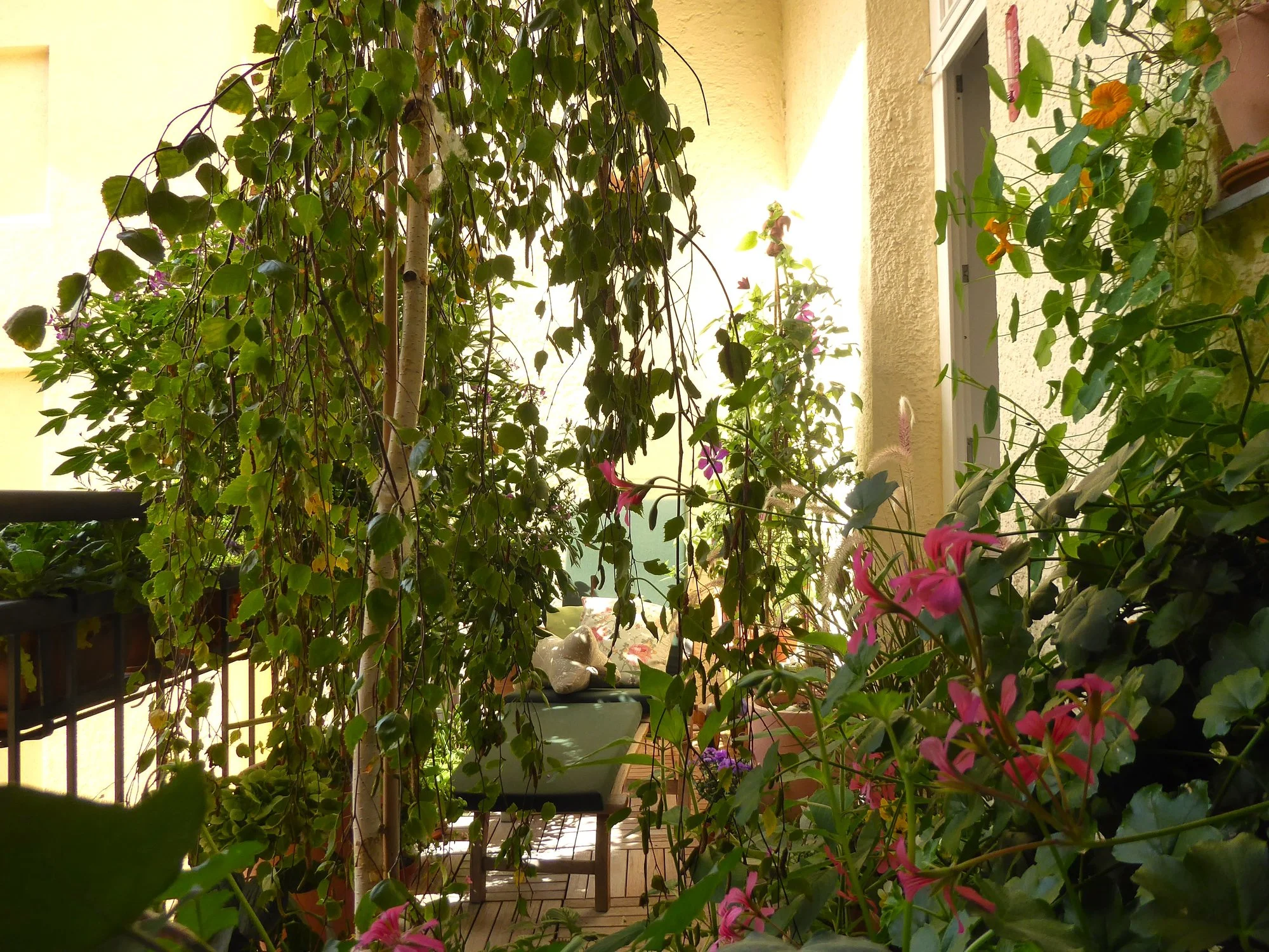 P1230584.webp