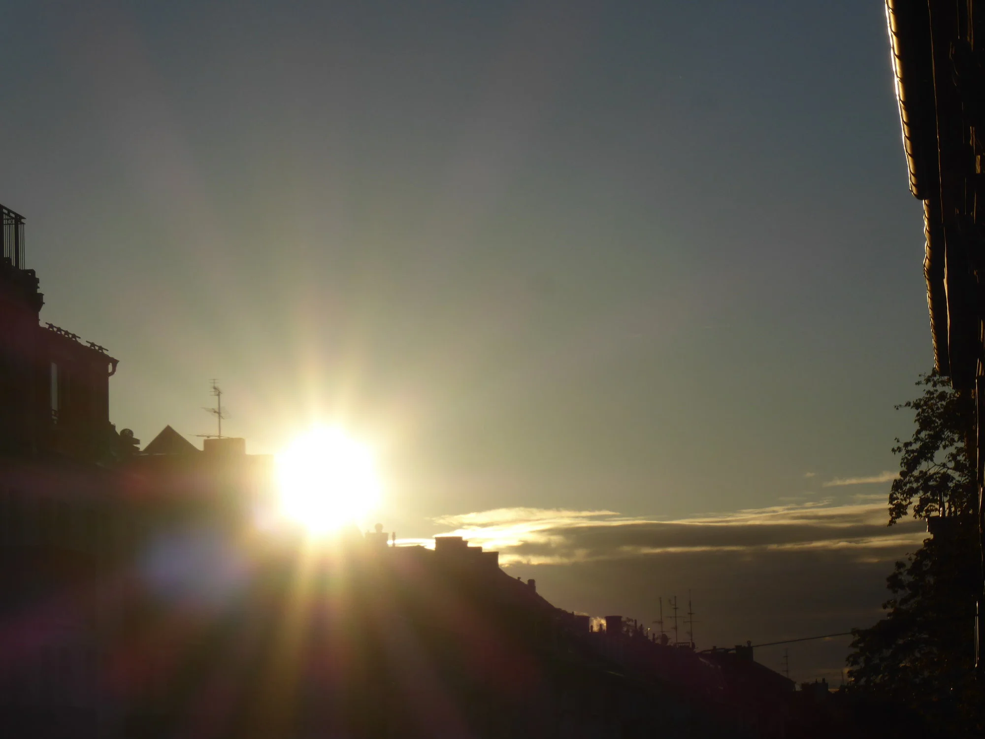 P1230623.webp