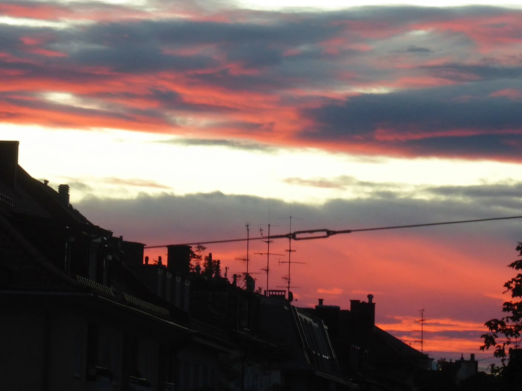 P1230640.webp