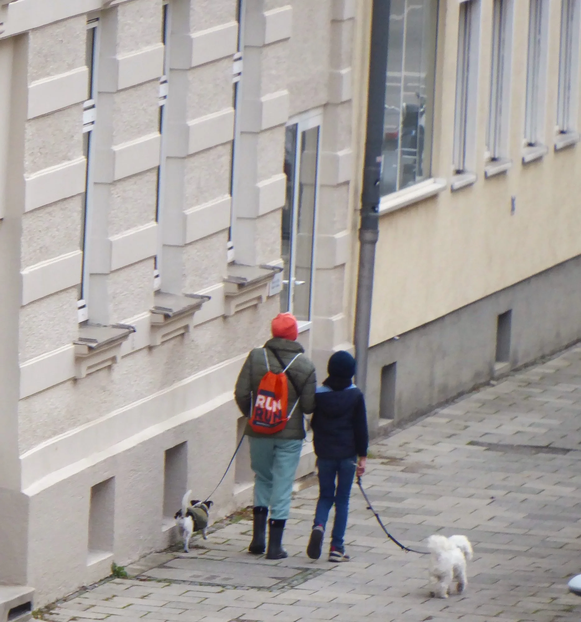 P1230667.webp