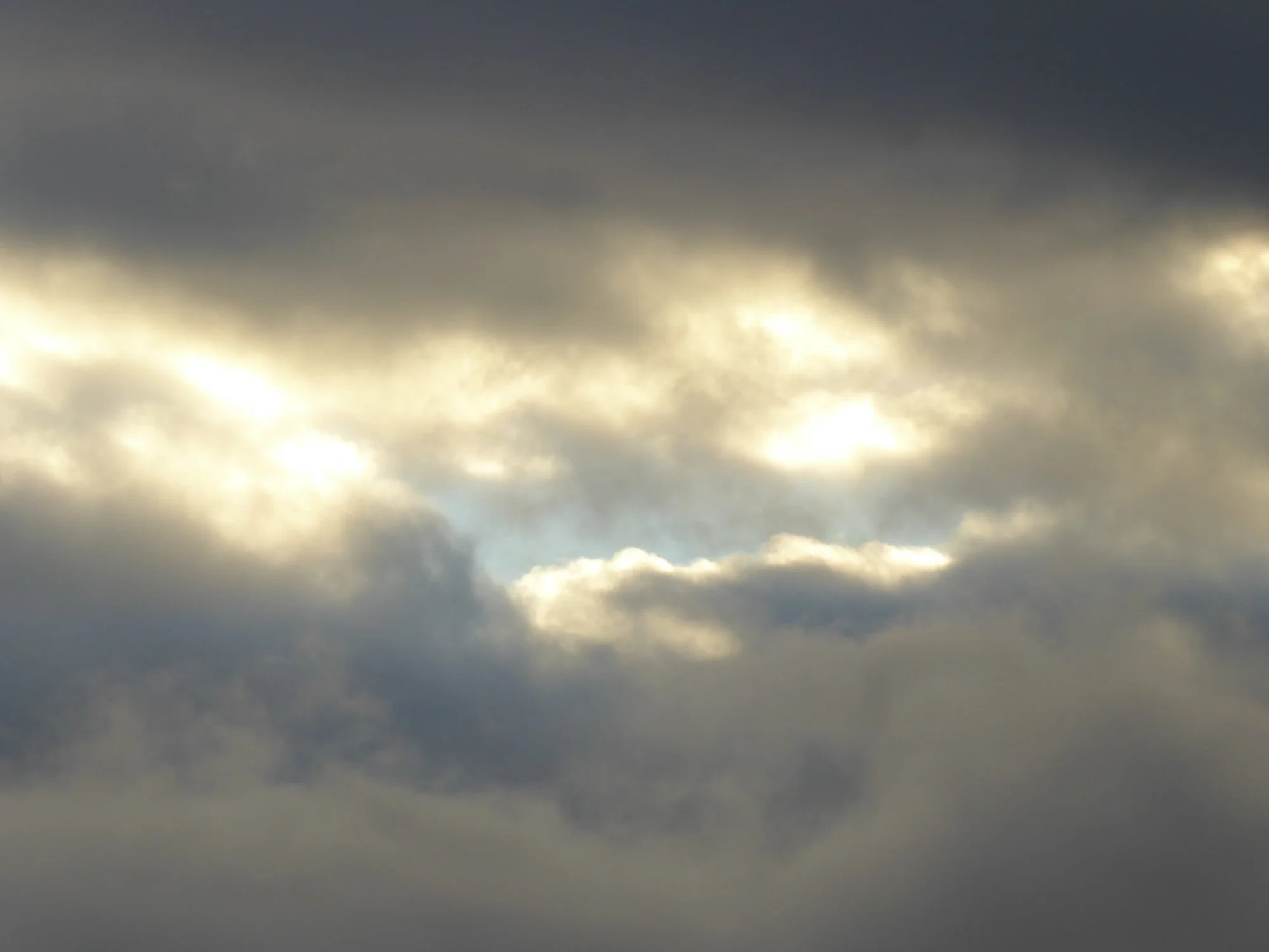 P1230747.webp