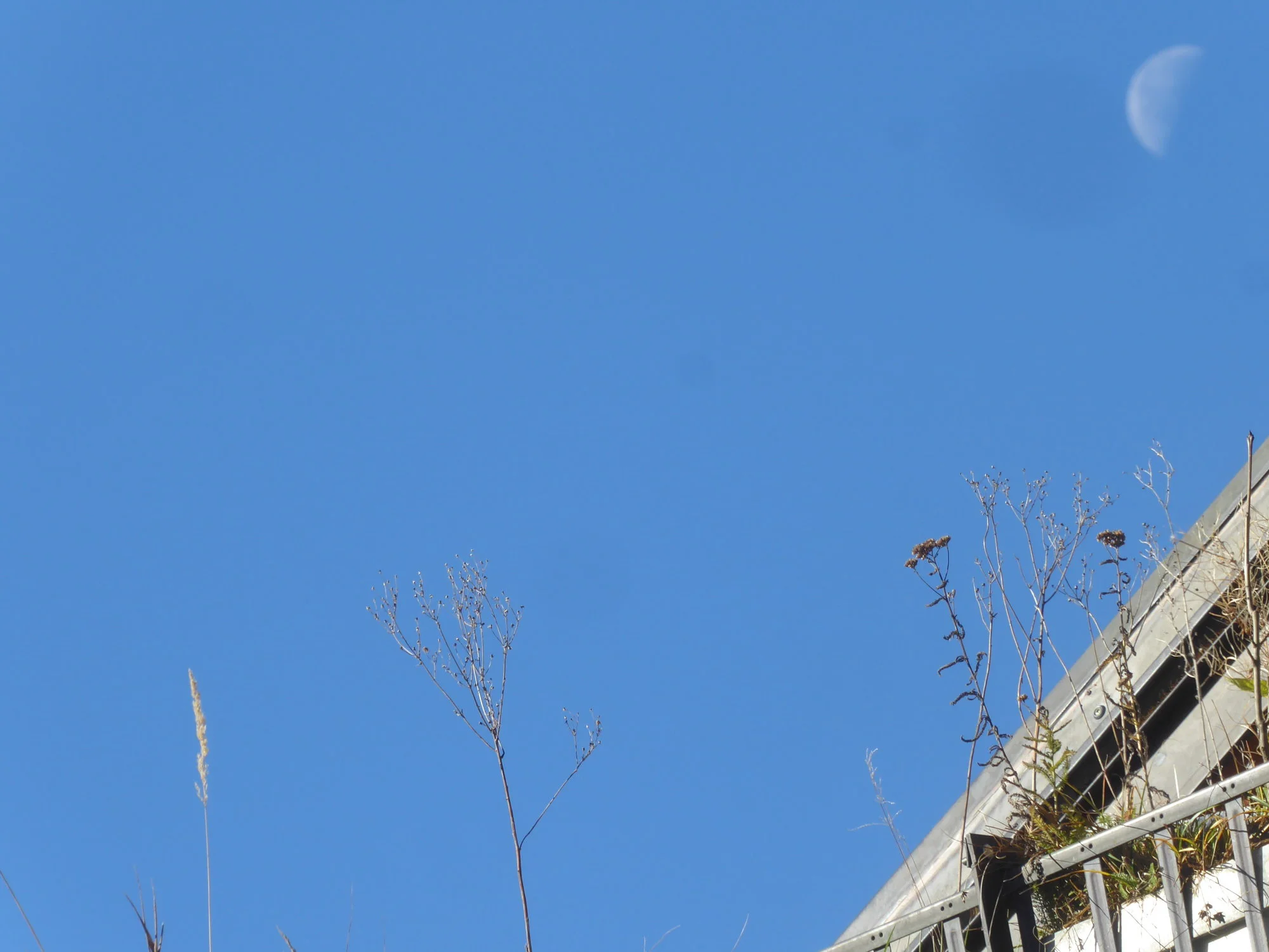 P1230930 - Kopie.webp