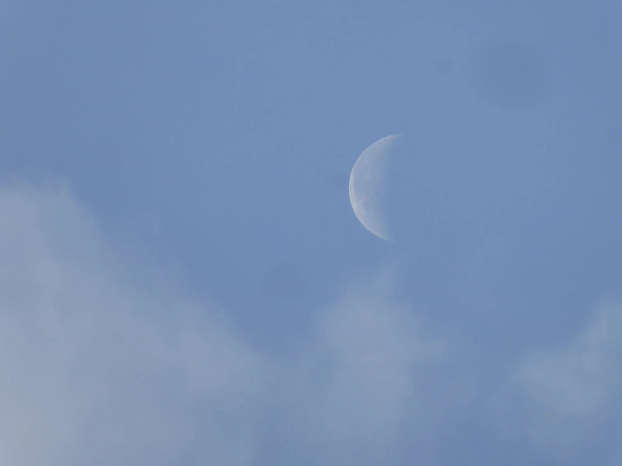 P1230931.webp