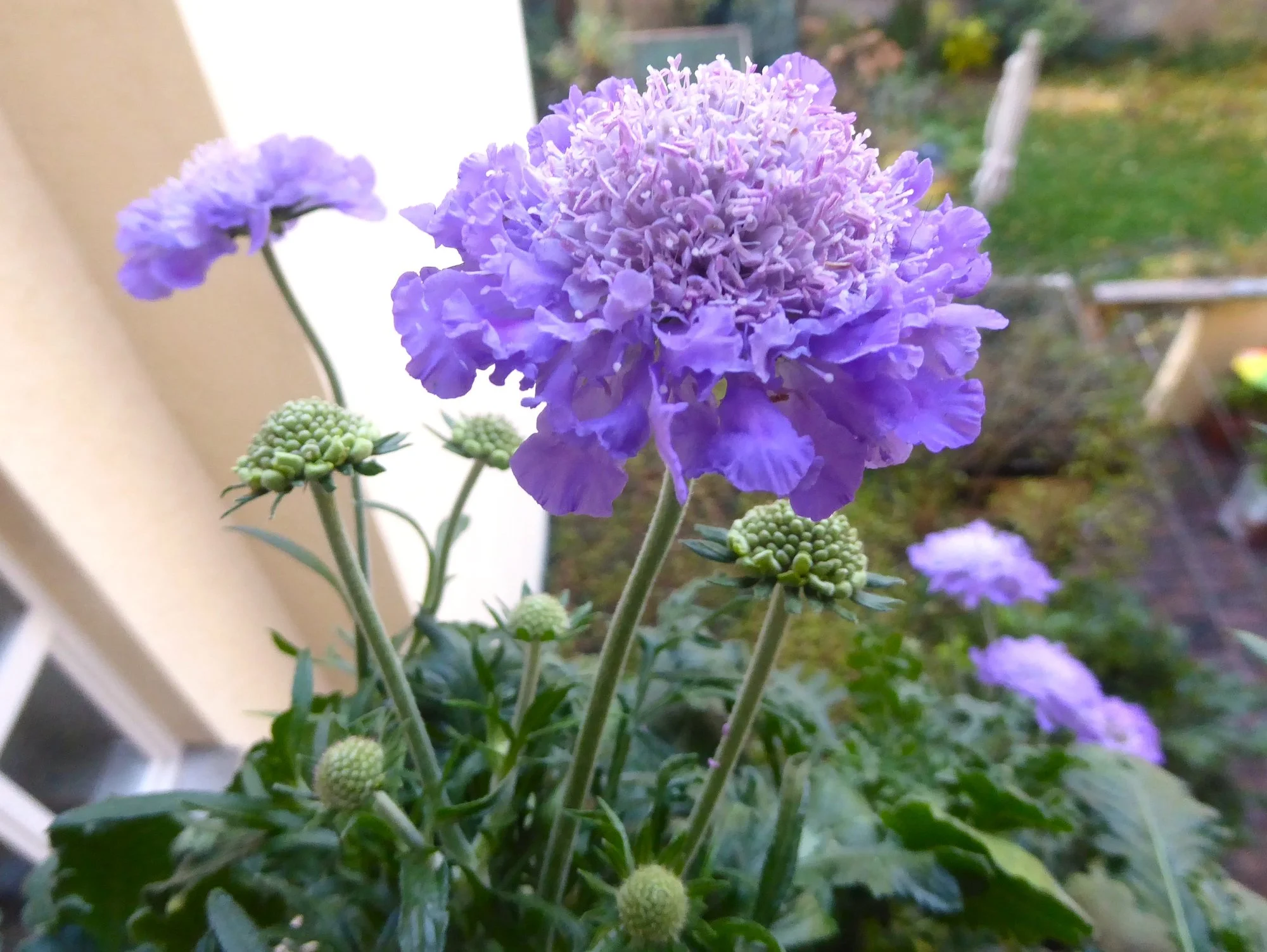 P1230947.webp