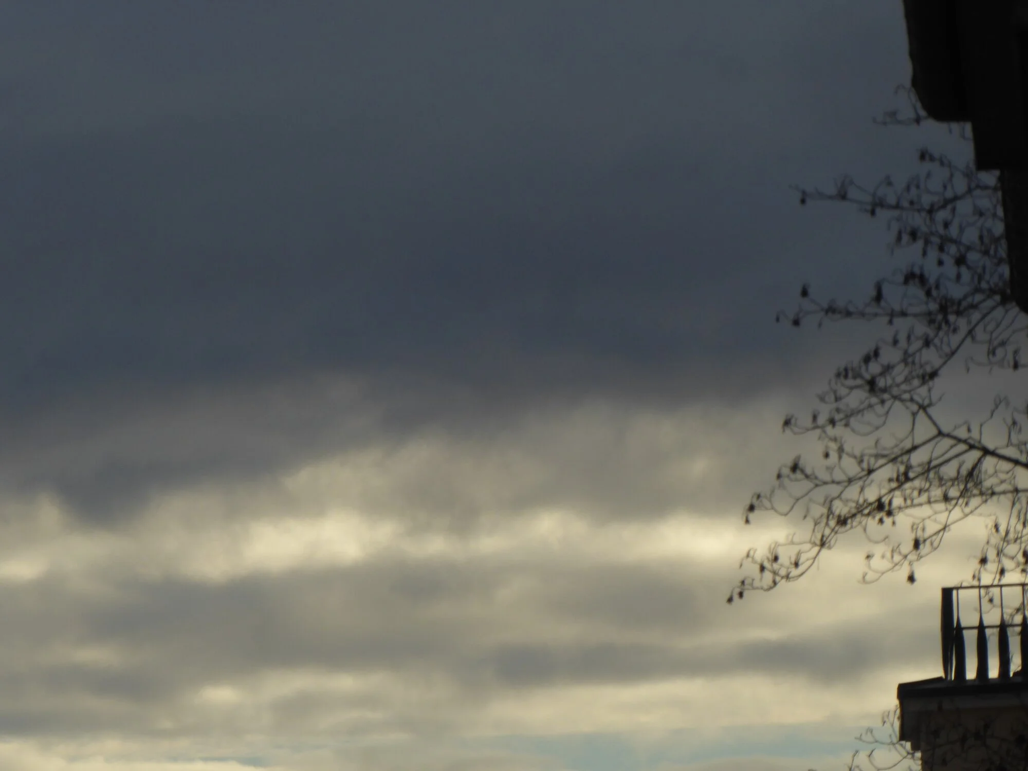 P1240056.webp