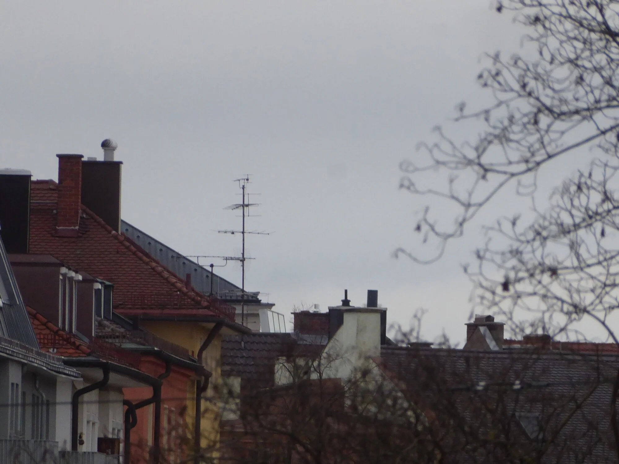 P1240159.webp