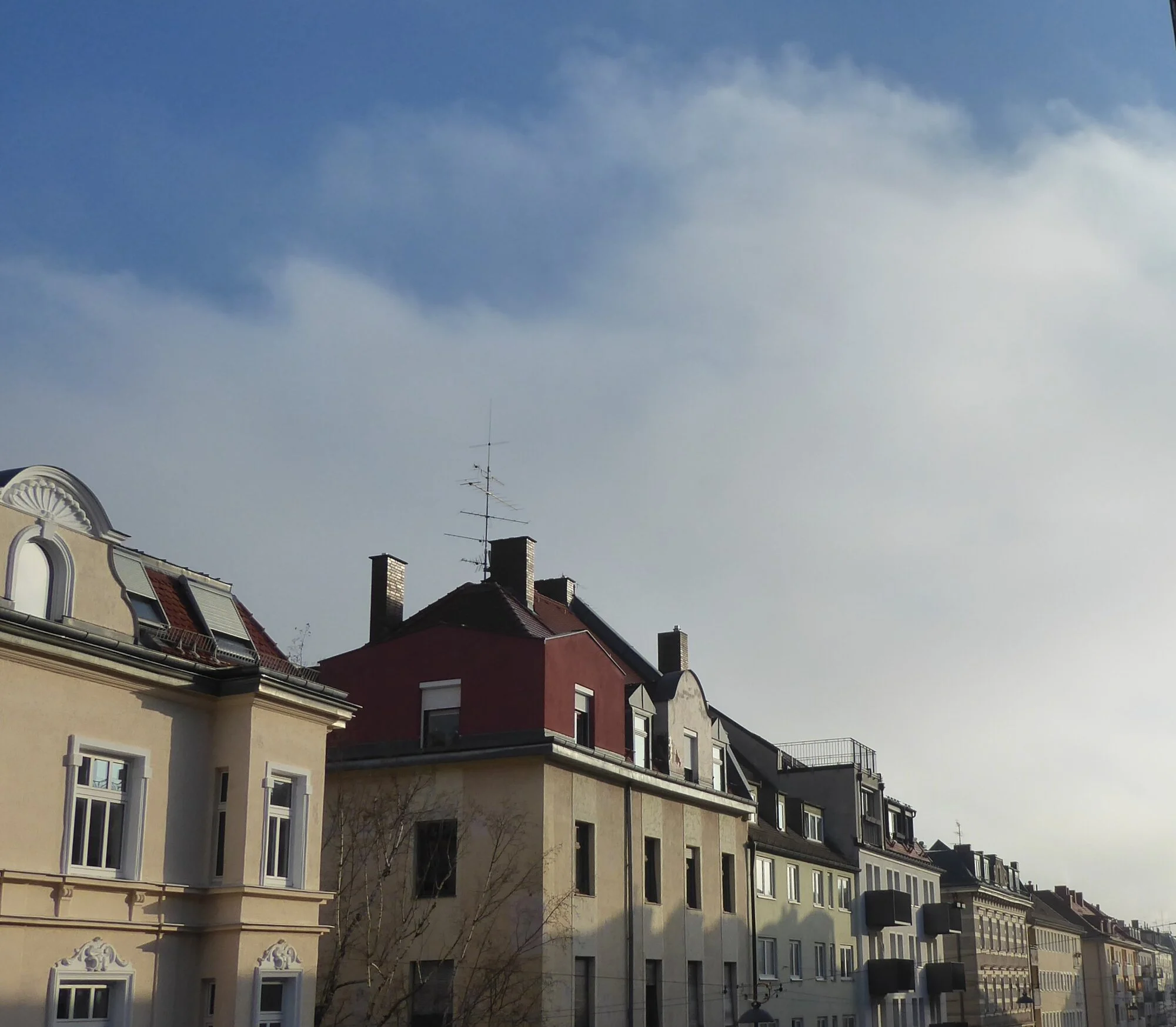 P1240240.webp