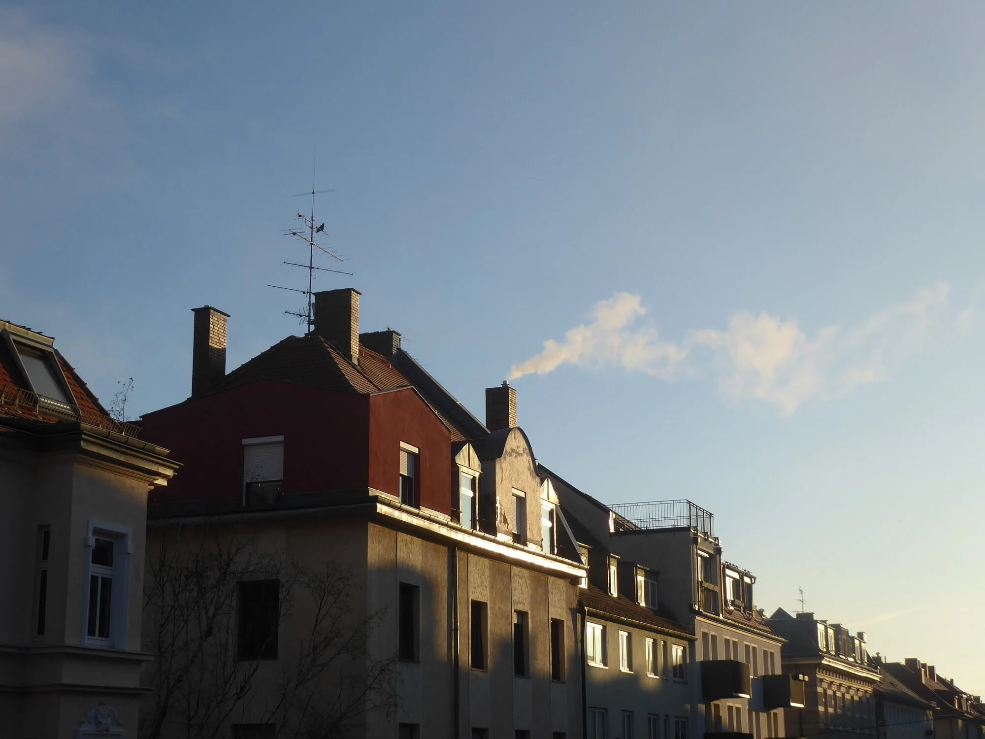 P1240257.webp