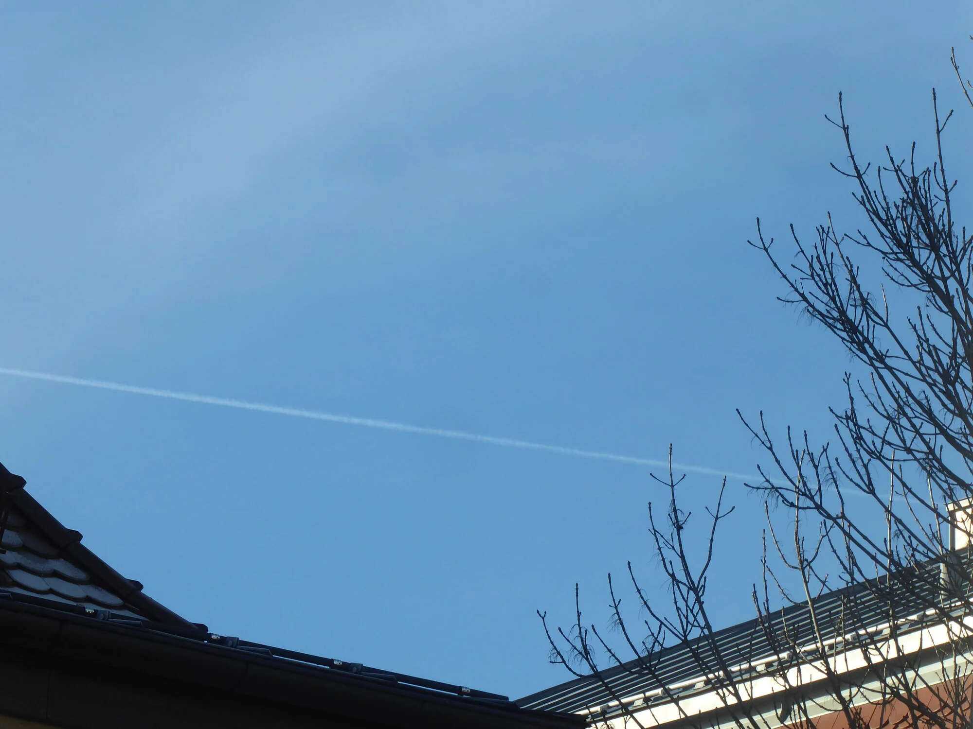 P1240274.webp