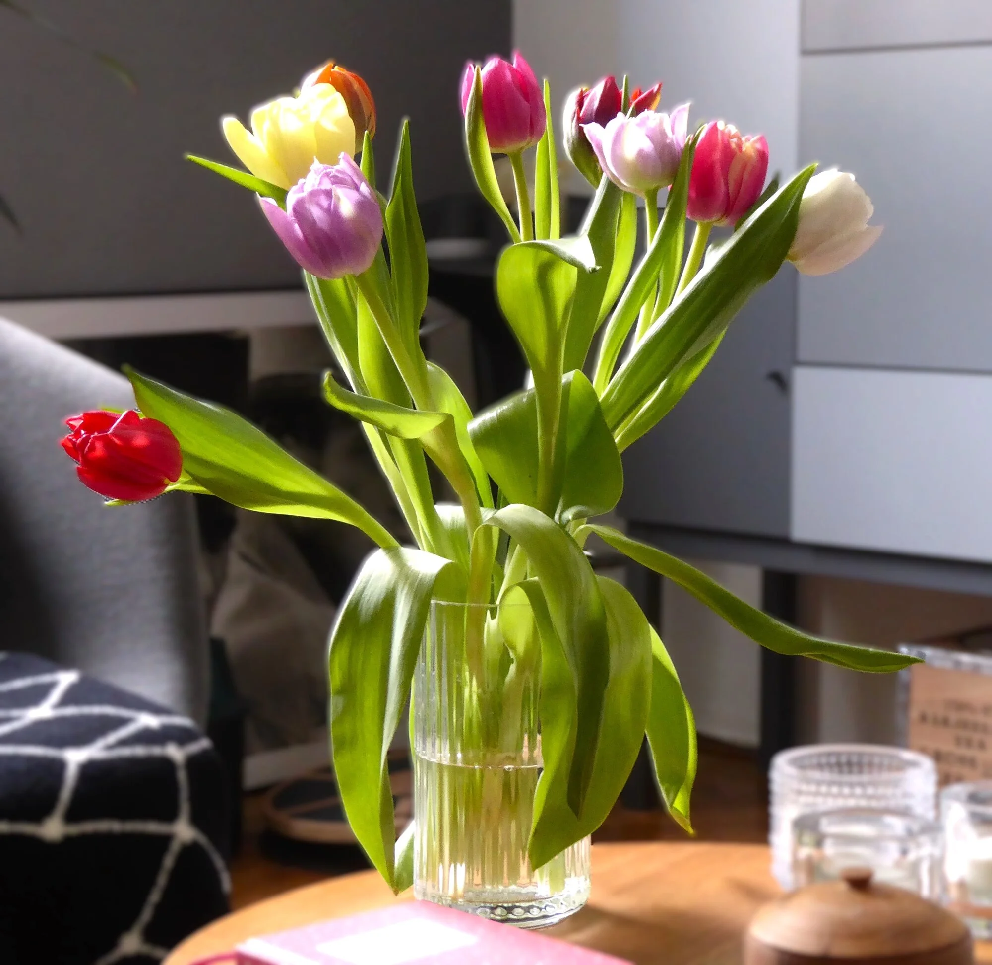 P1240421.webp