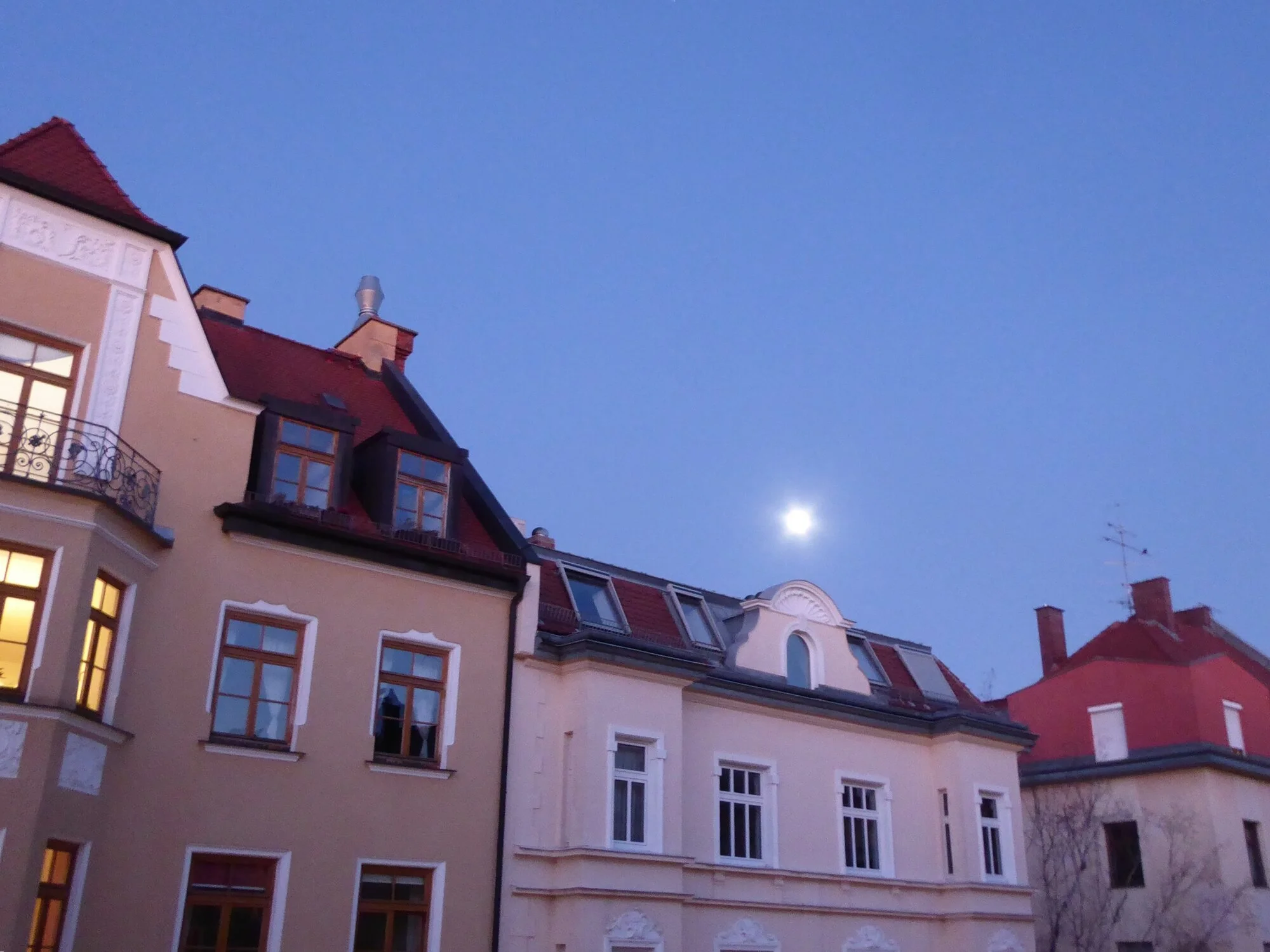 P1240423.webp