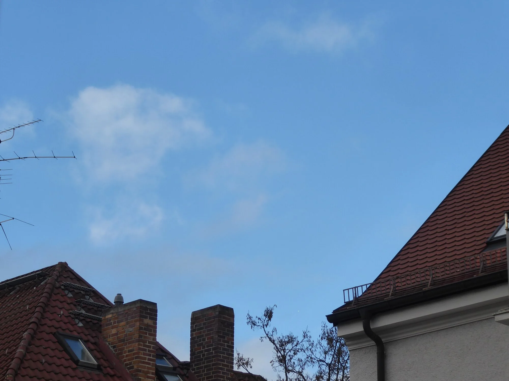 P1240490.webp