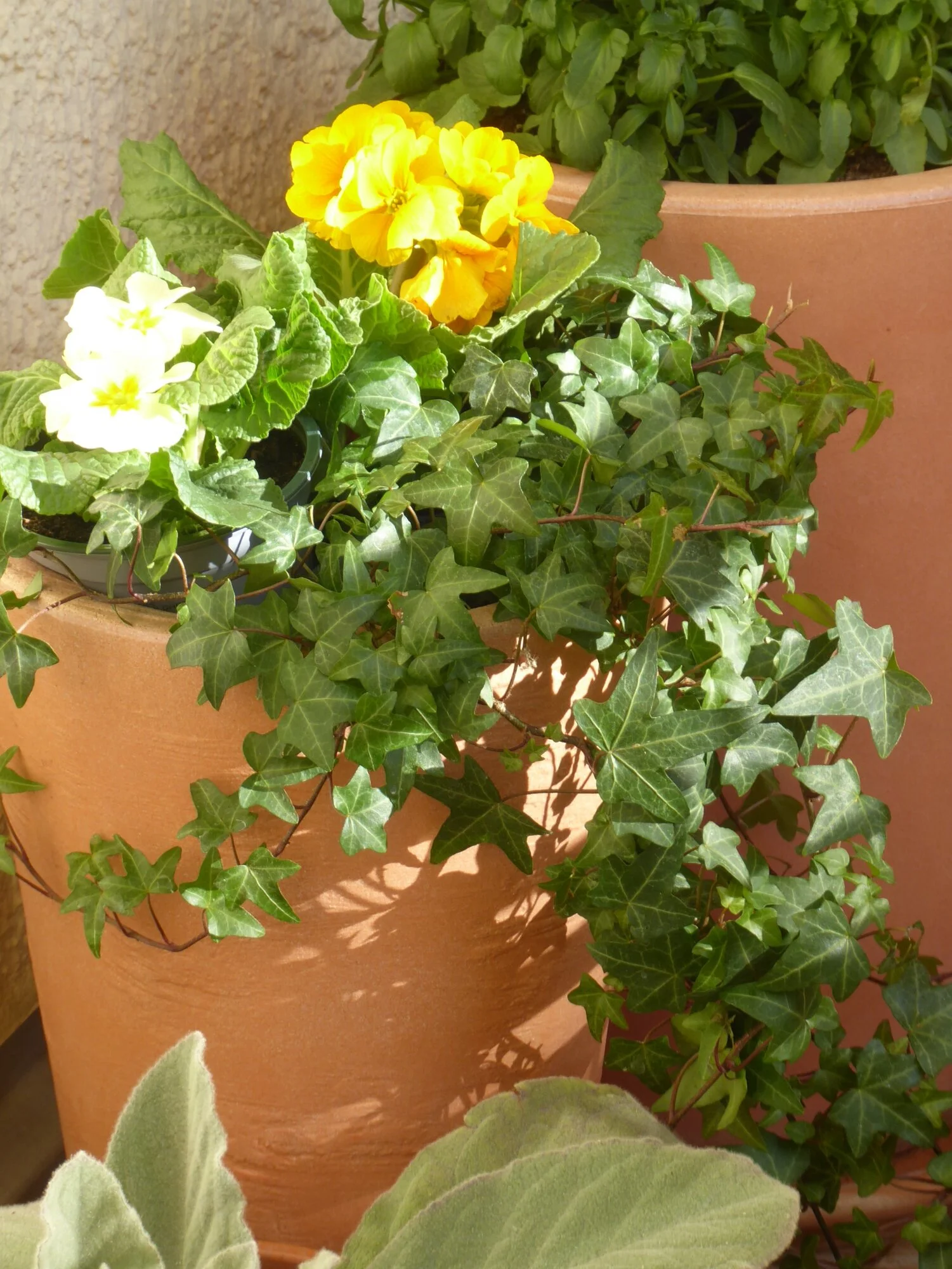 P1240519.webp