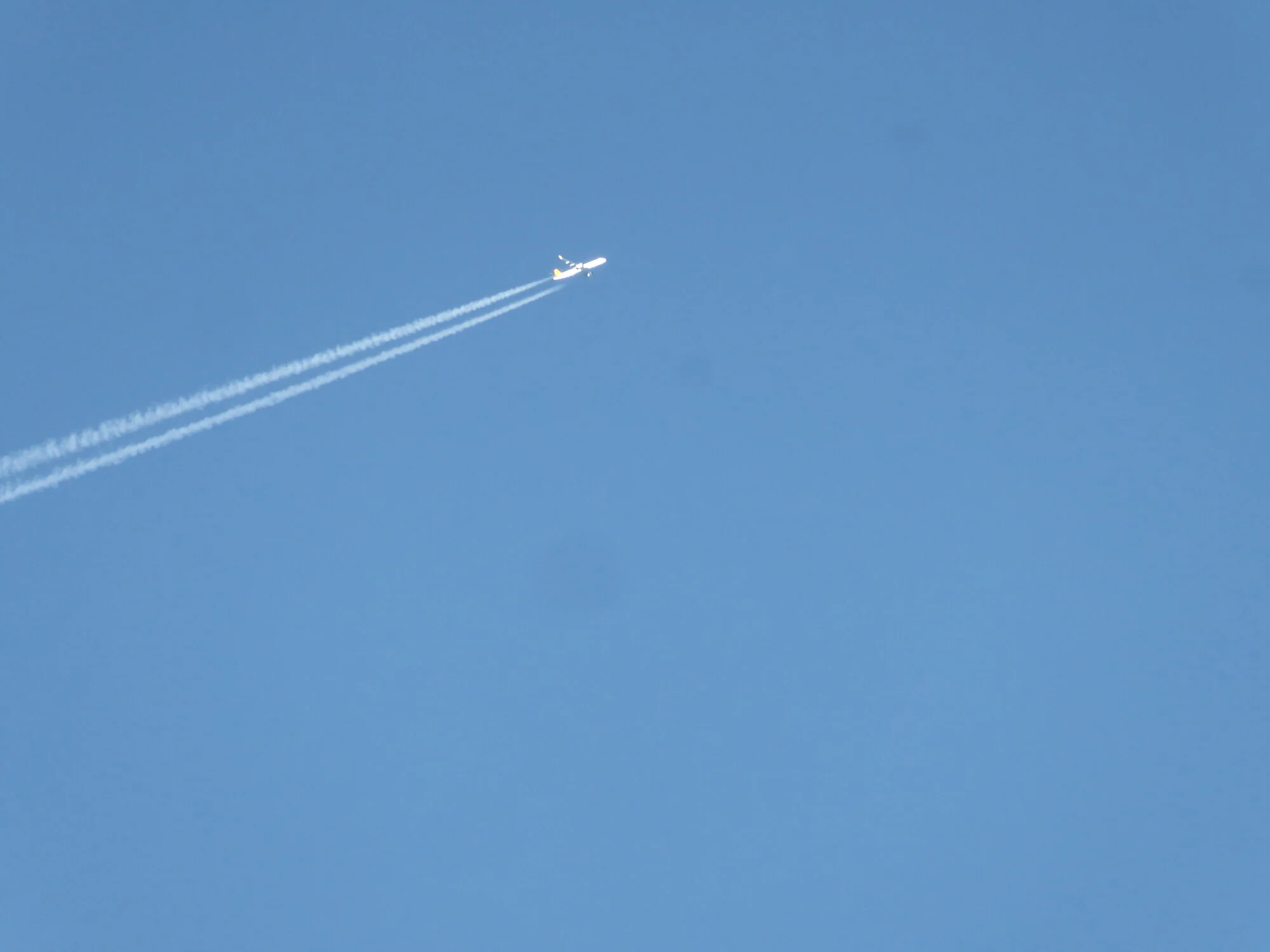 P1240534.webp