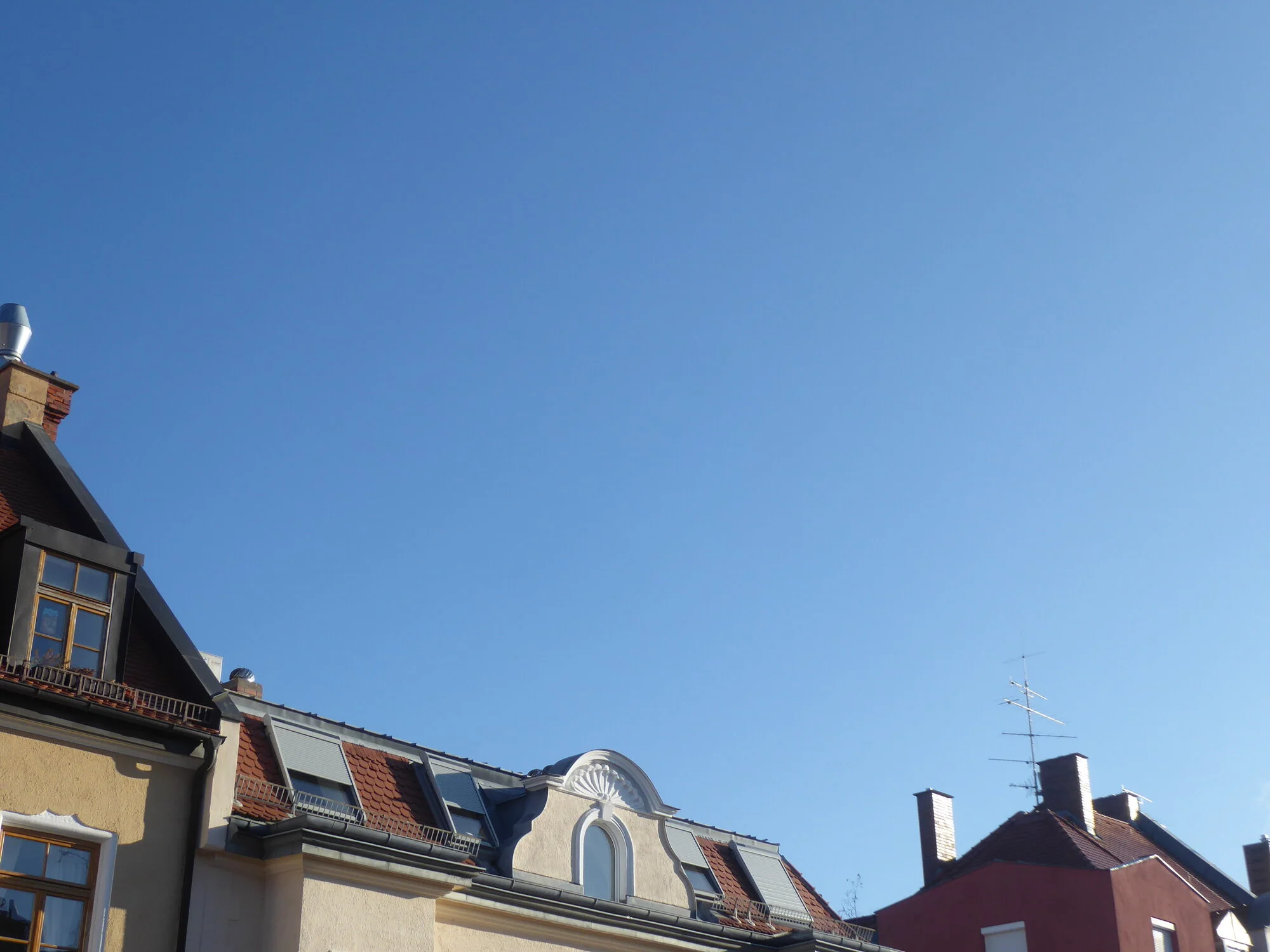 P1240614.webp