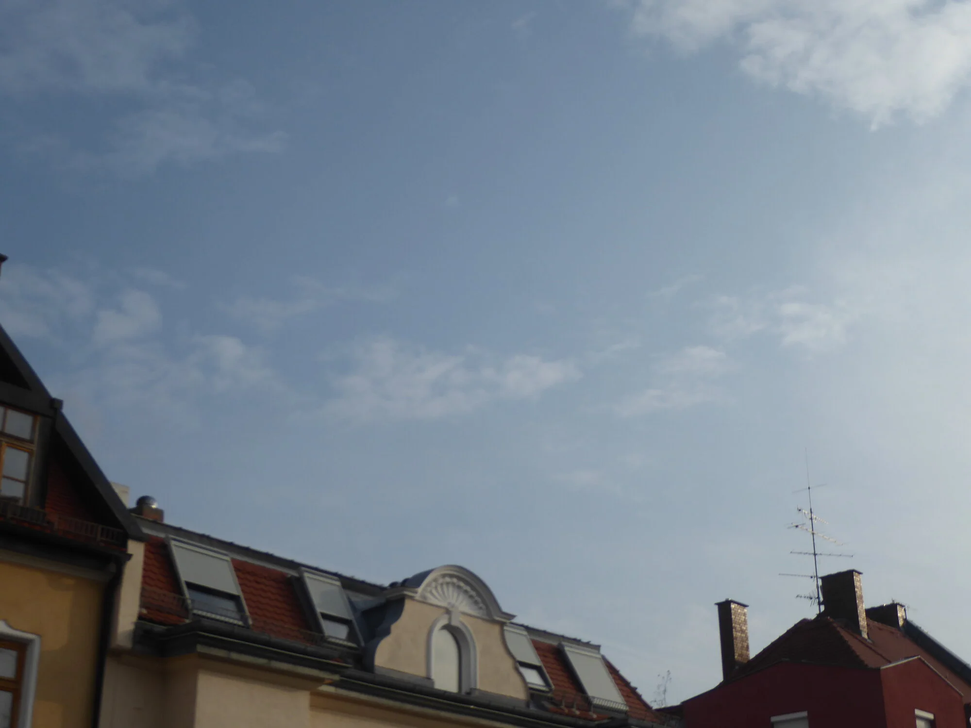 P1240646.webp
