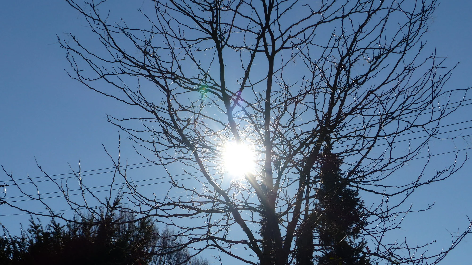P1240654.webp