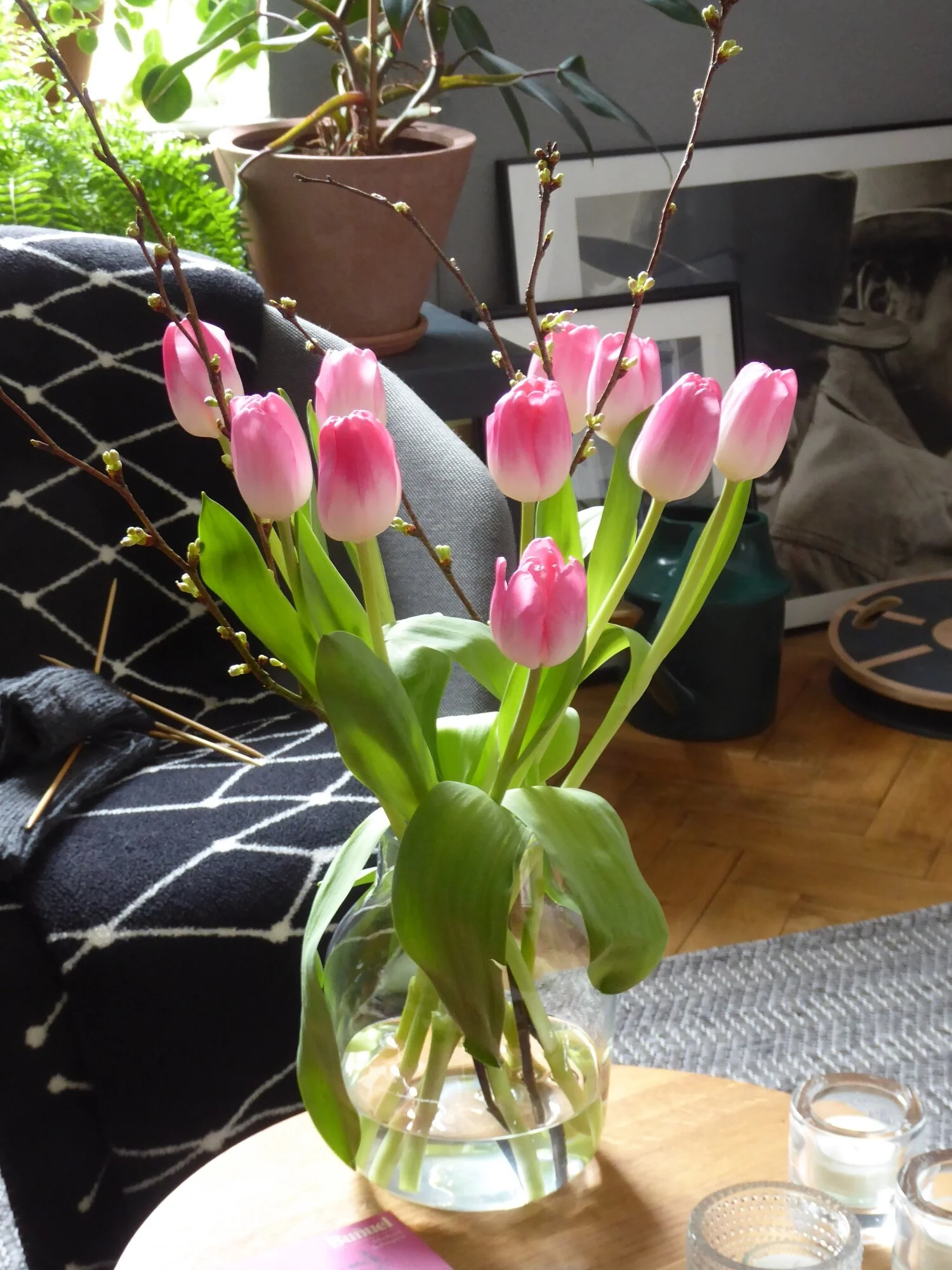 P1240687.webp