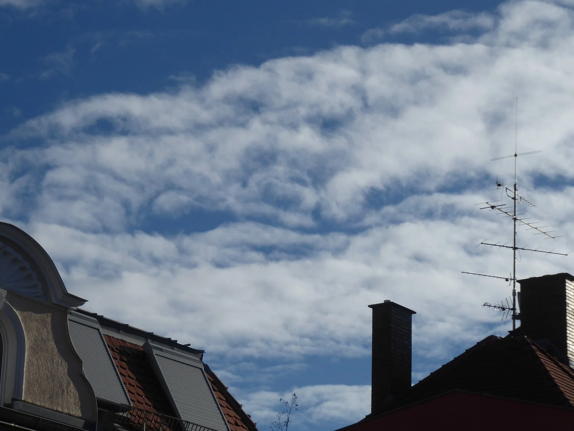 P1240832.webp