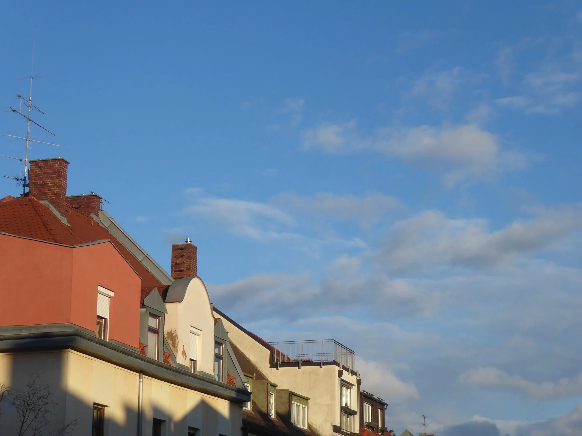 P1240842.webp