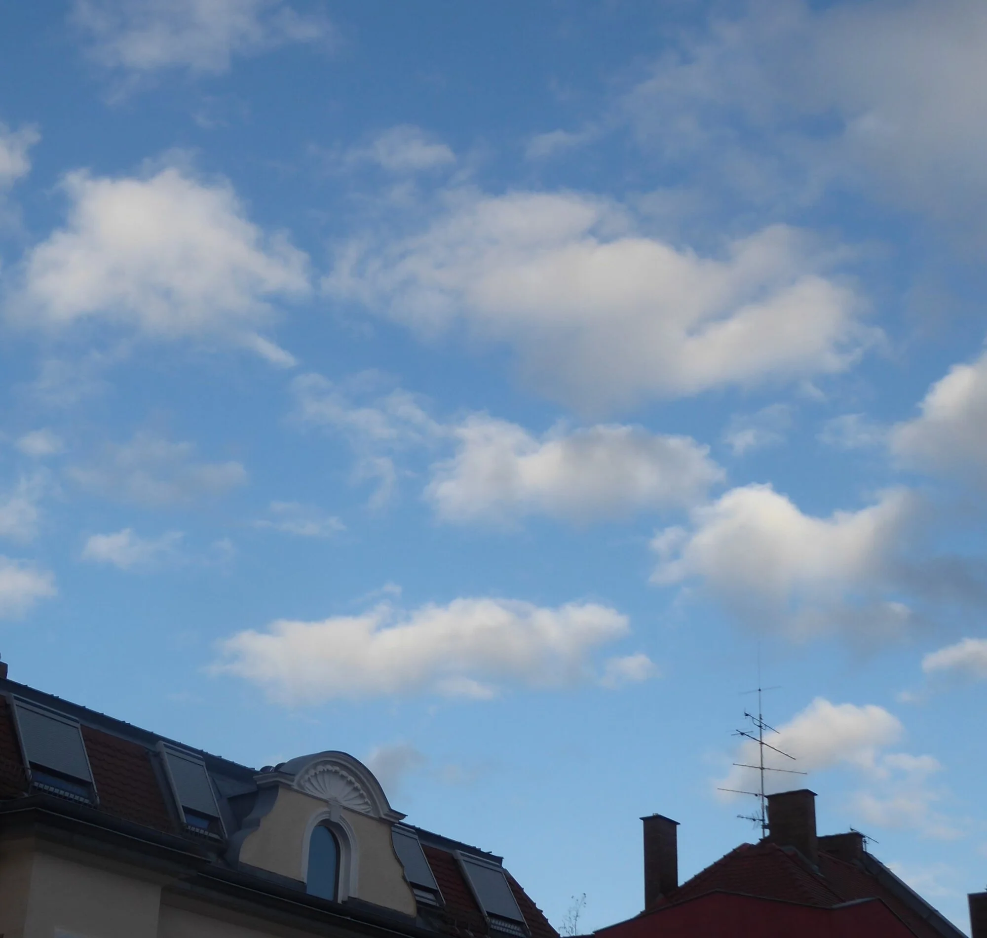 P1240981.webp