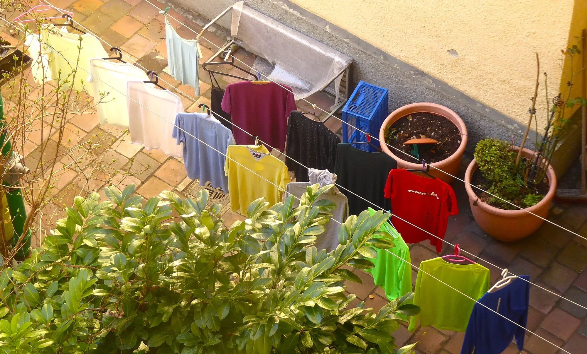 P1250016.webp