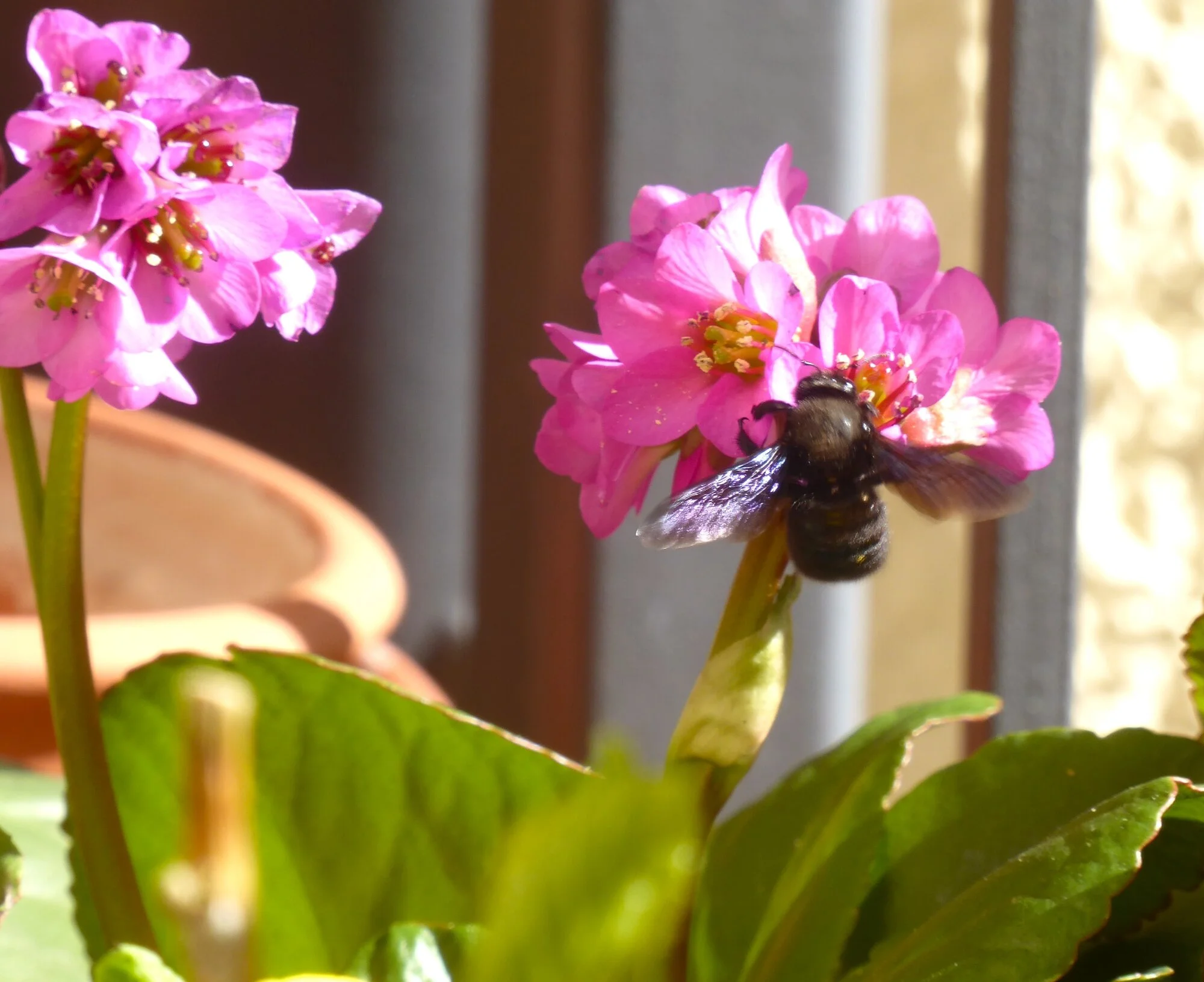 P1250038.webp
