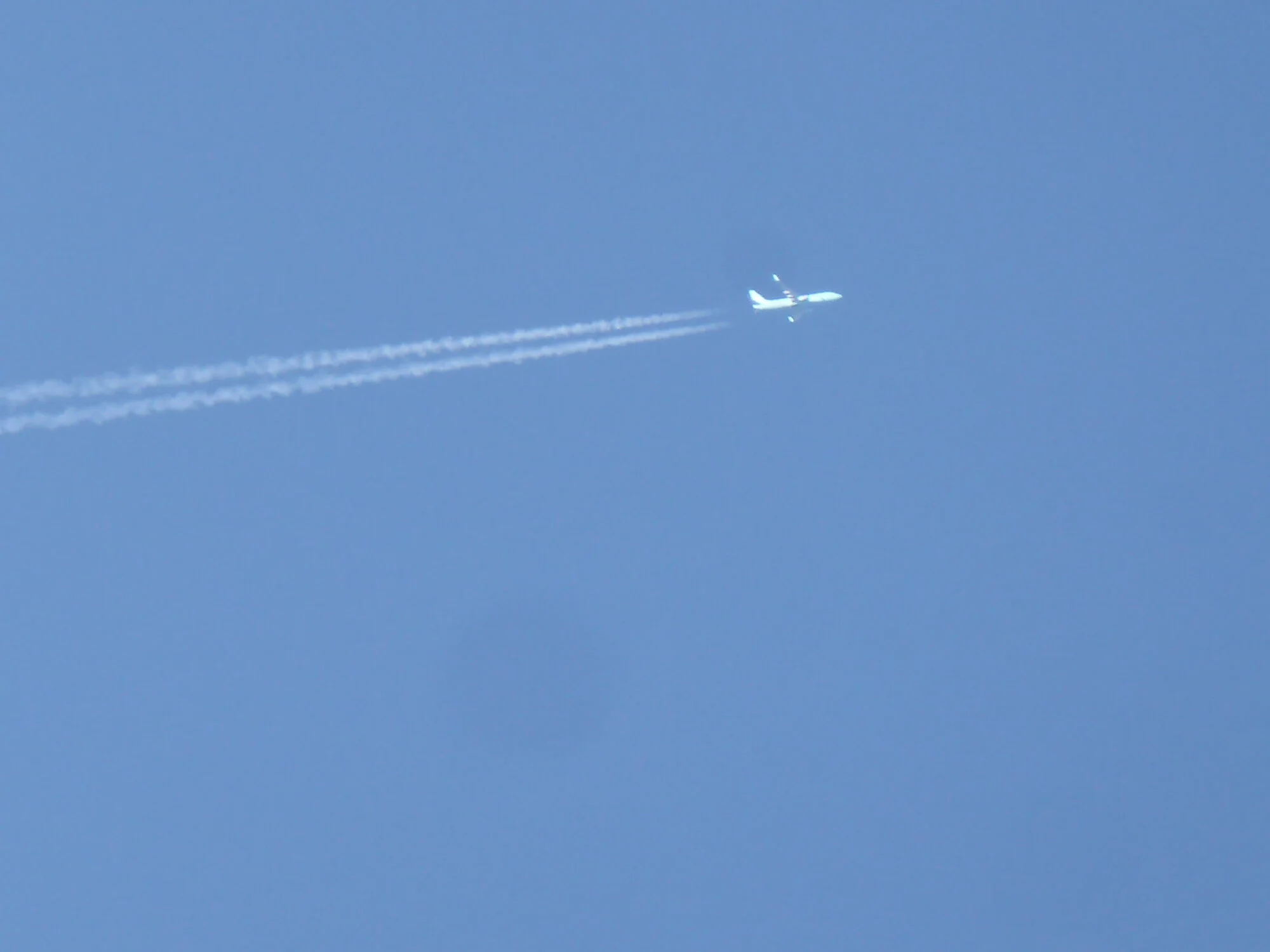 P1250042.webp