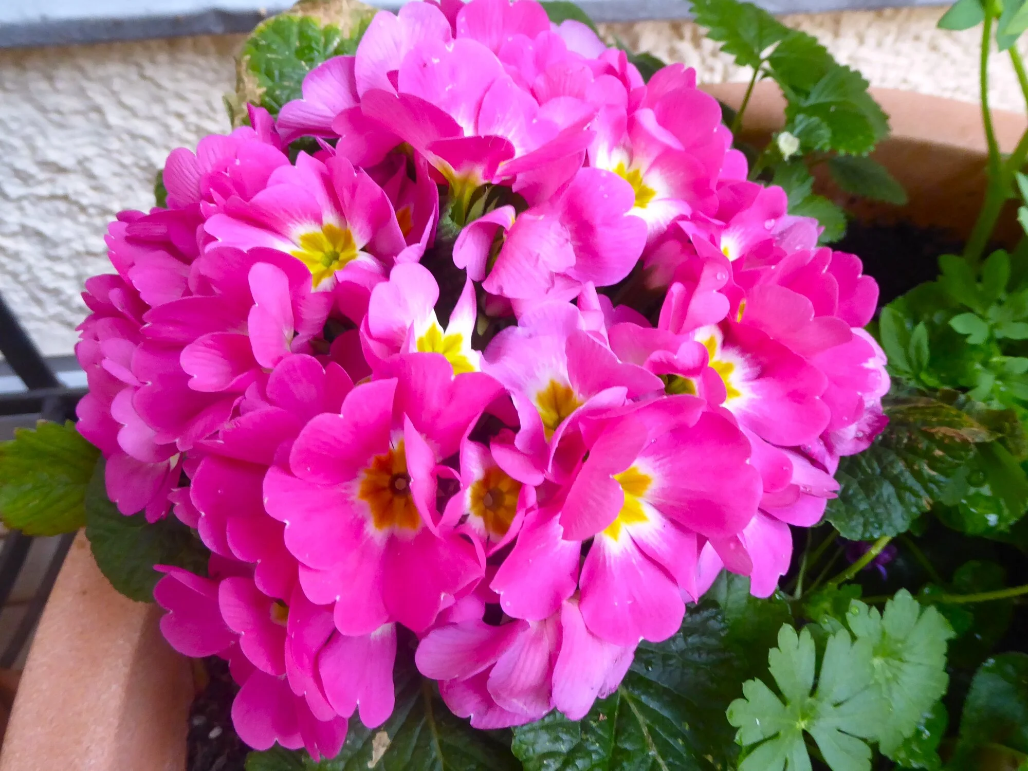 P1250064.webp