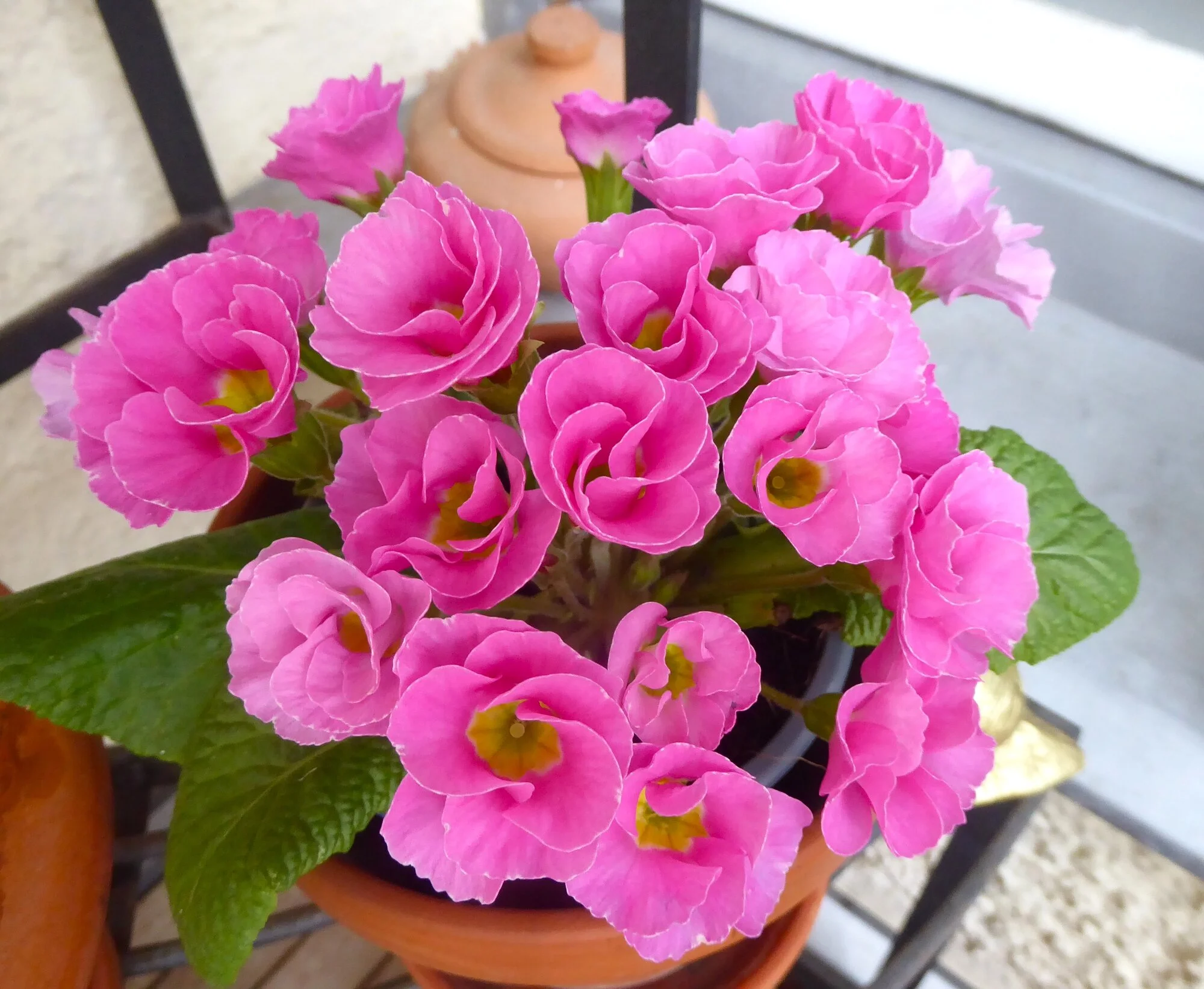 P1250065.webp