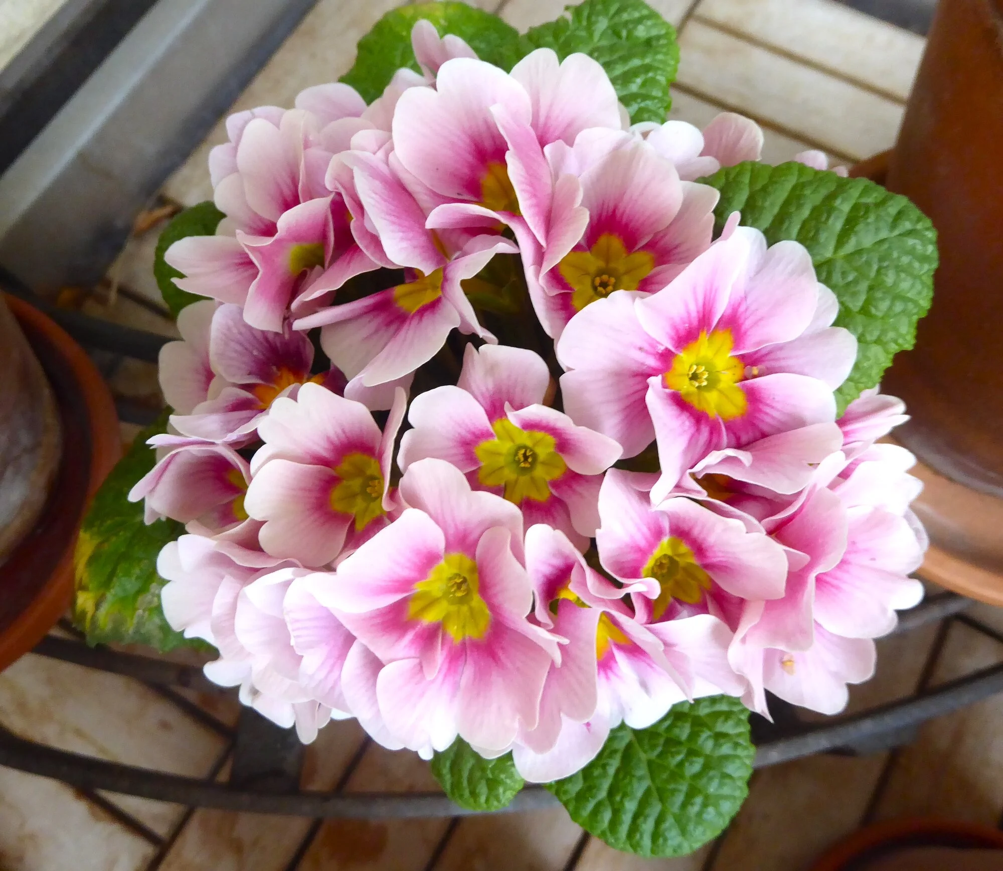 P1250070.webp