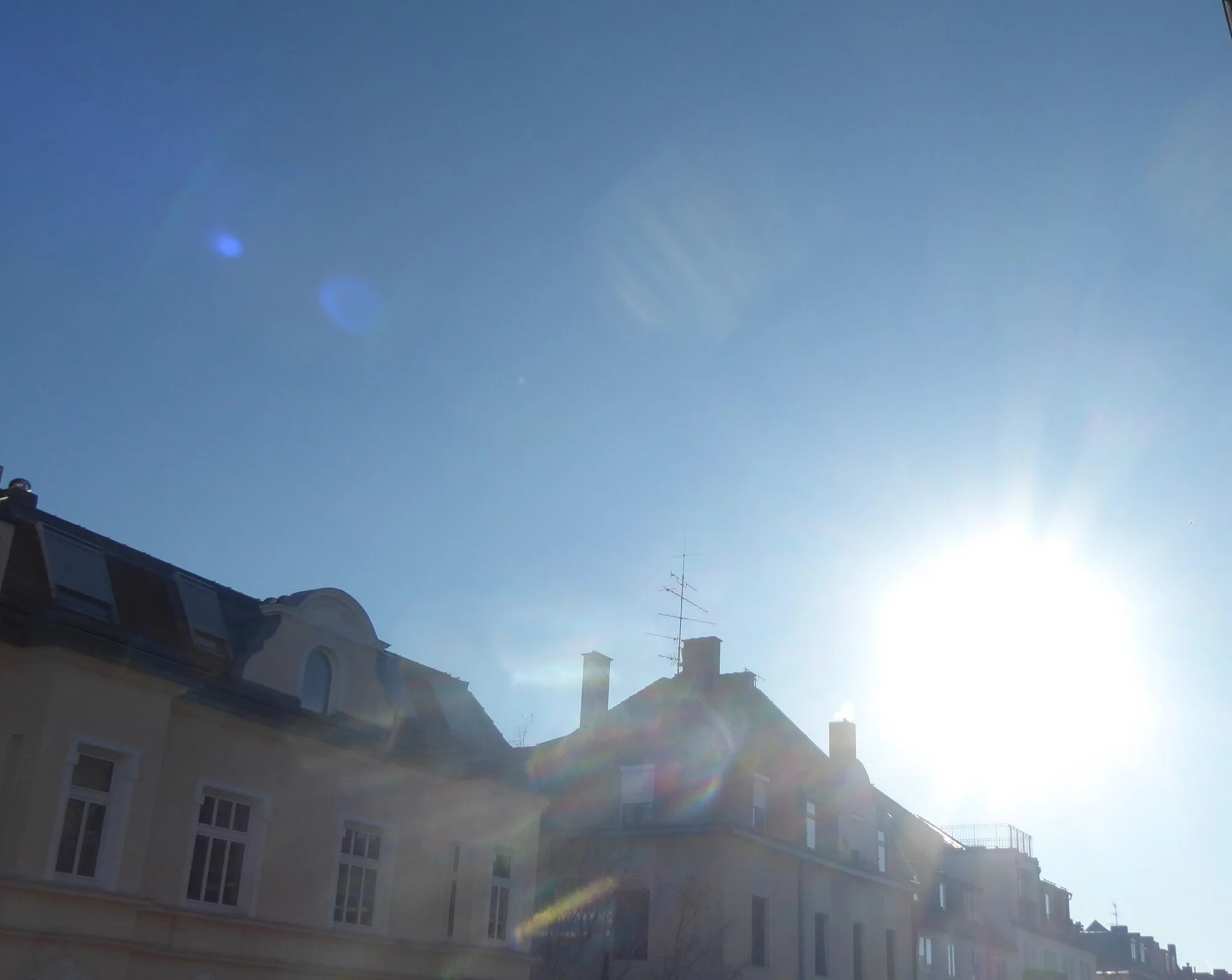 P1250077.webp