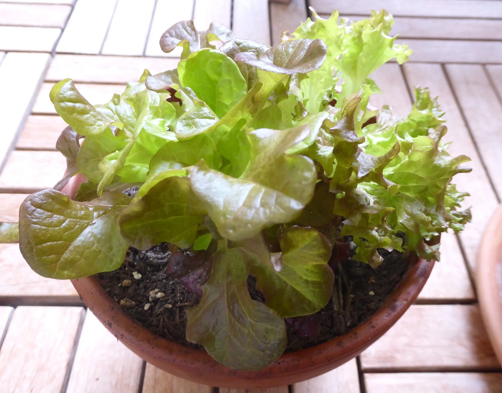 P1250084.JPG