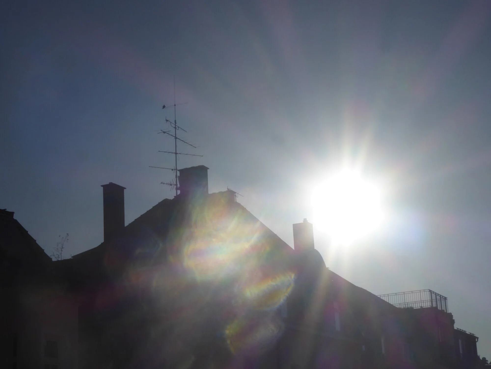 P1250089.webp