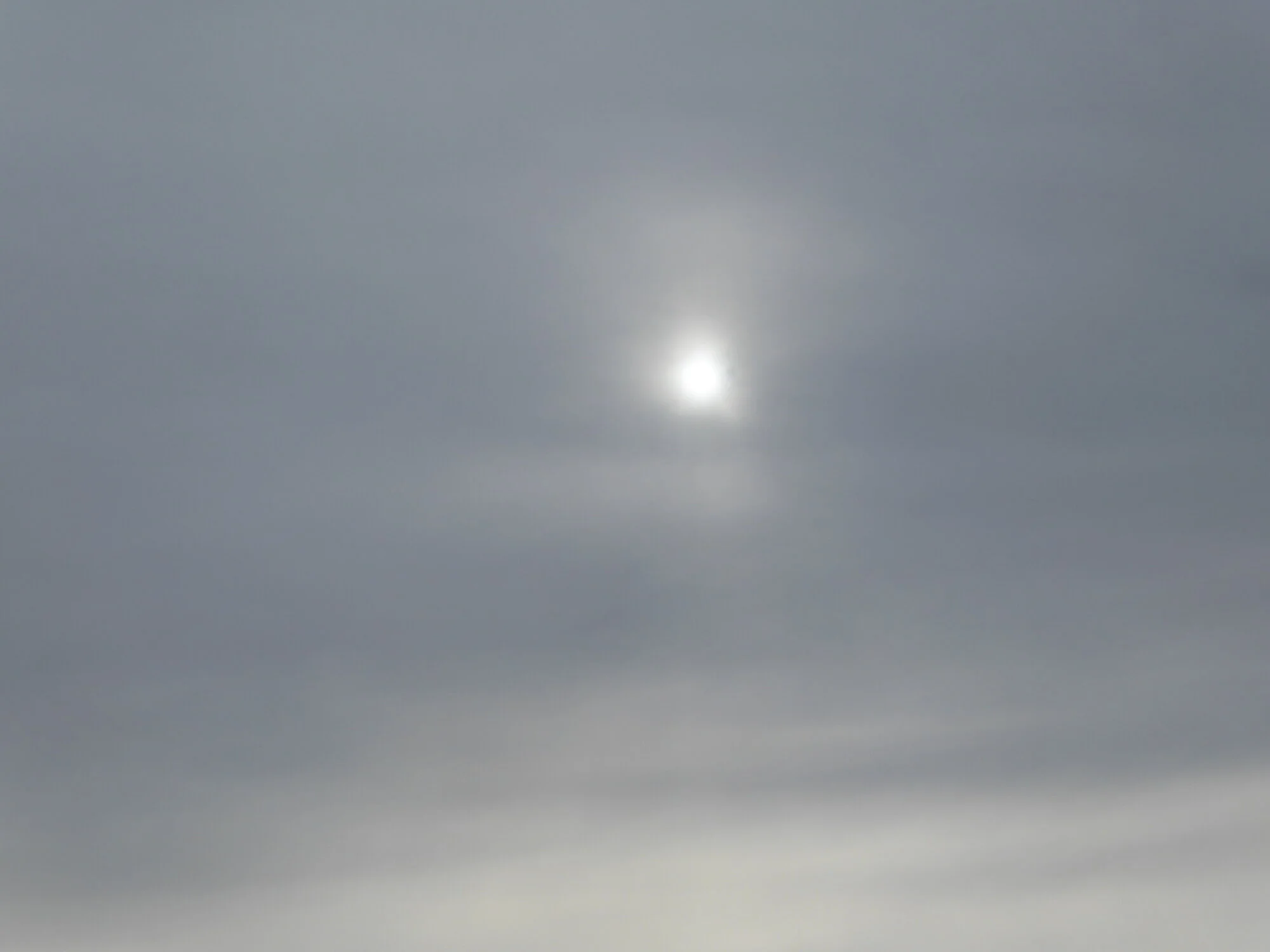 P1250142.webp