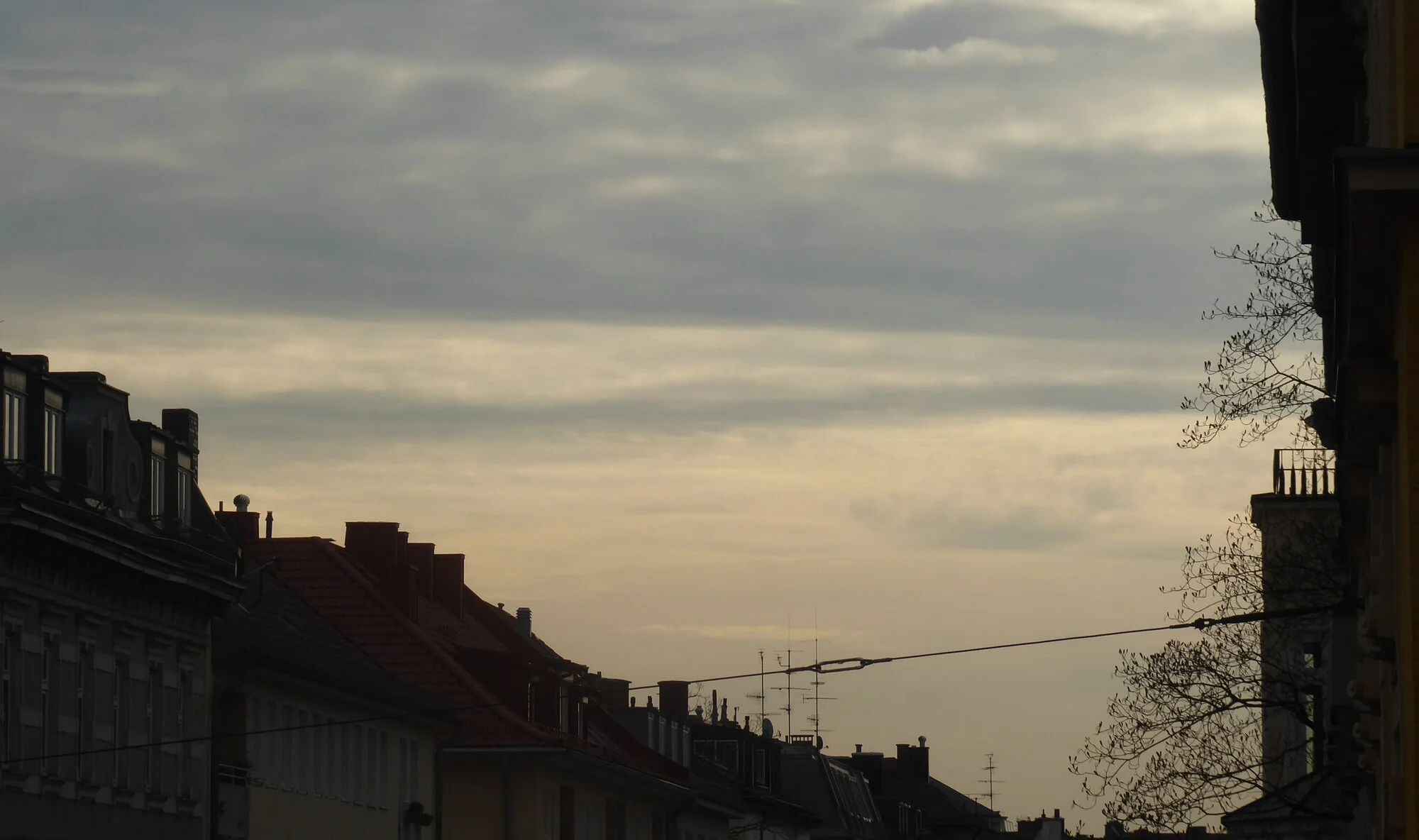P1250151.webp