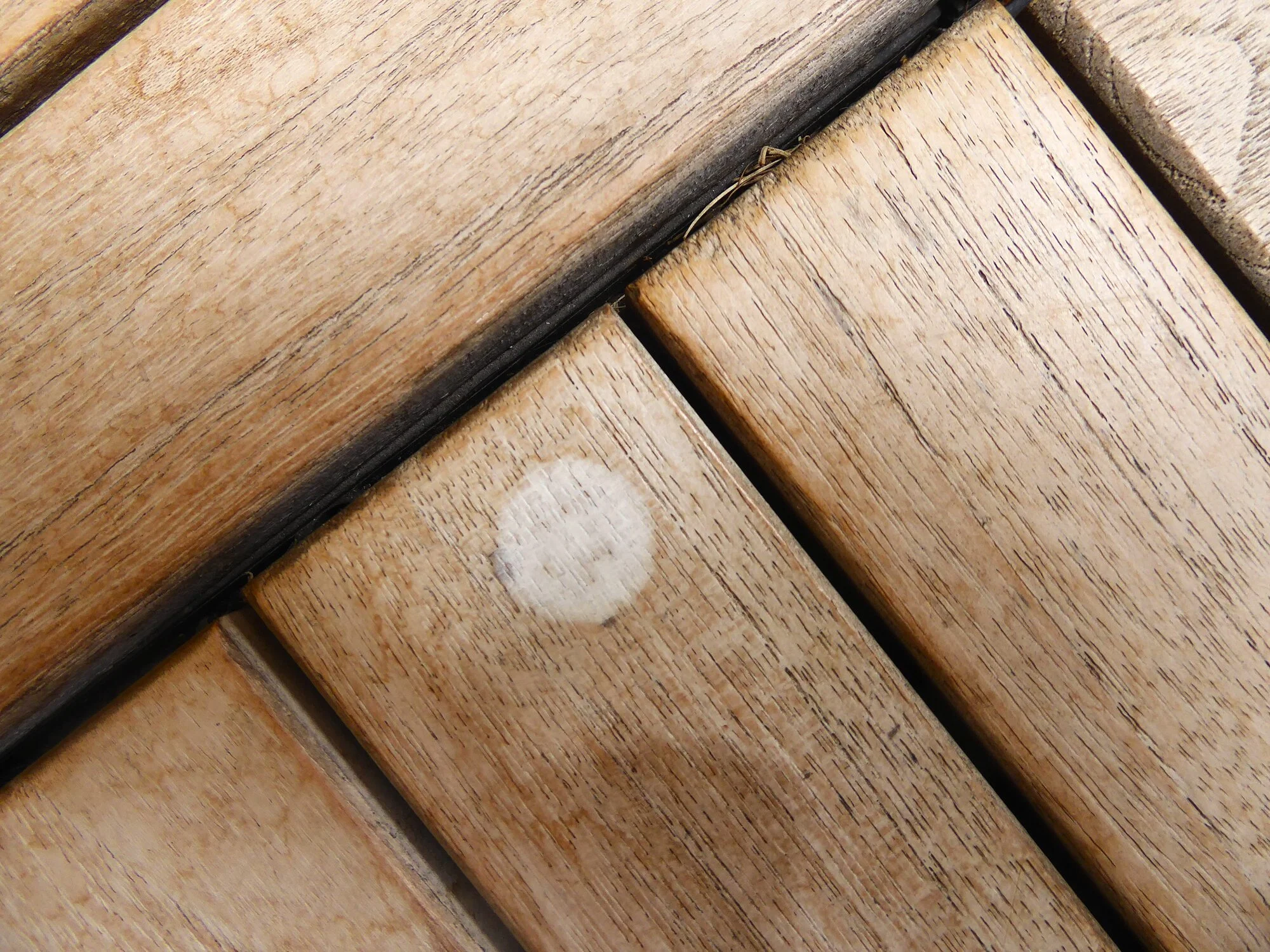 P1250168.webp