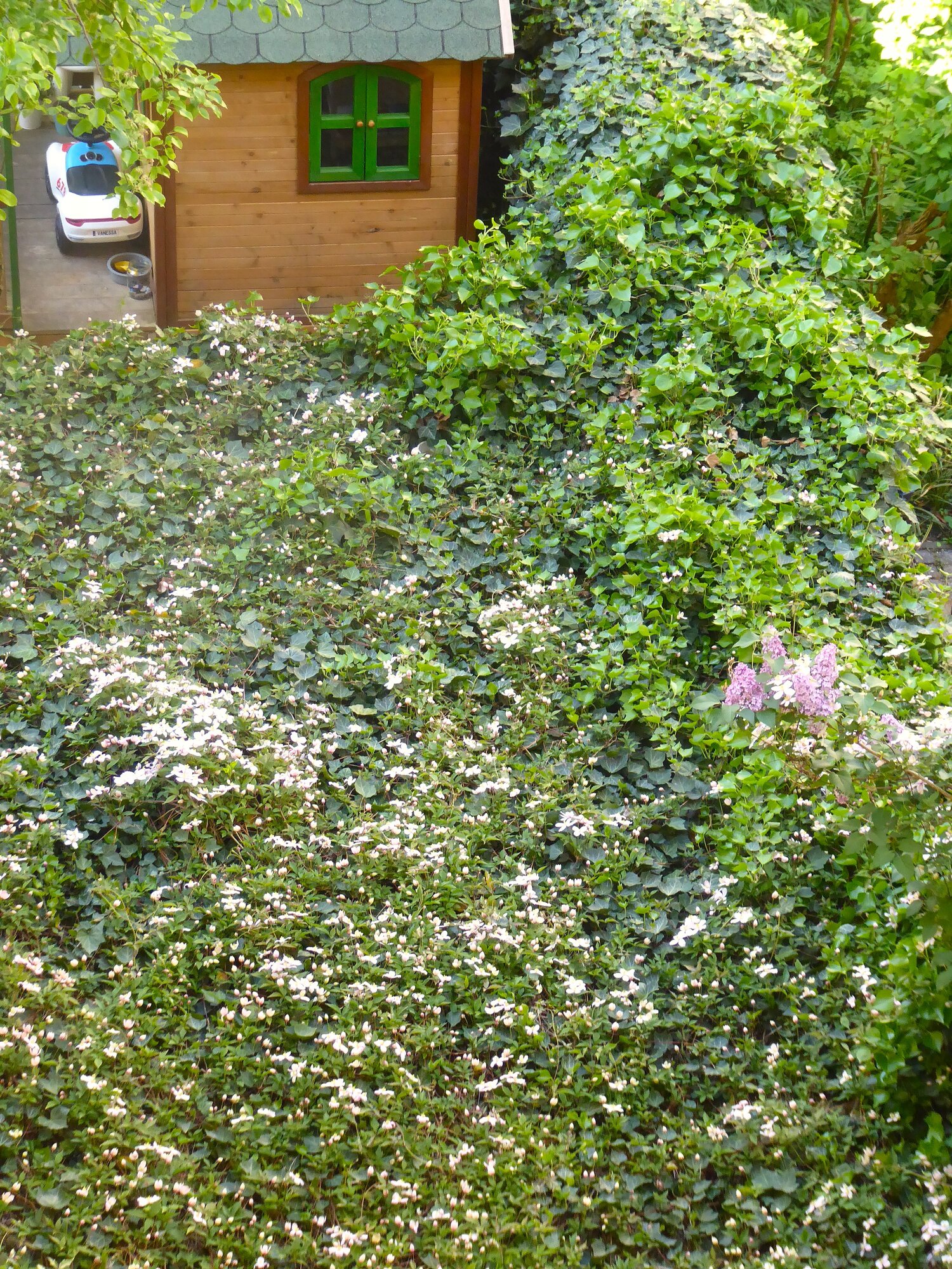 P1250251.JPG