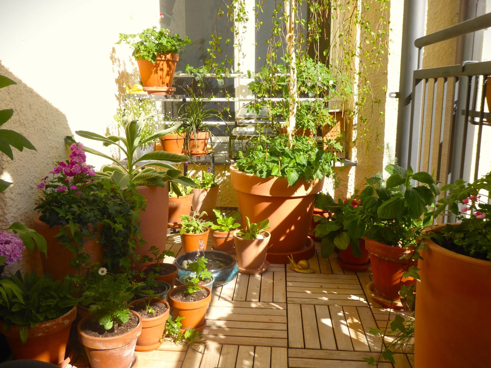 P1250260.JPG