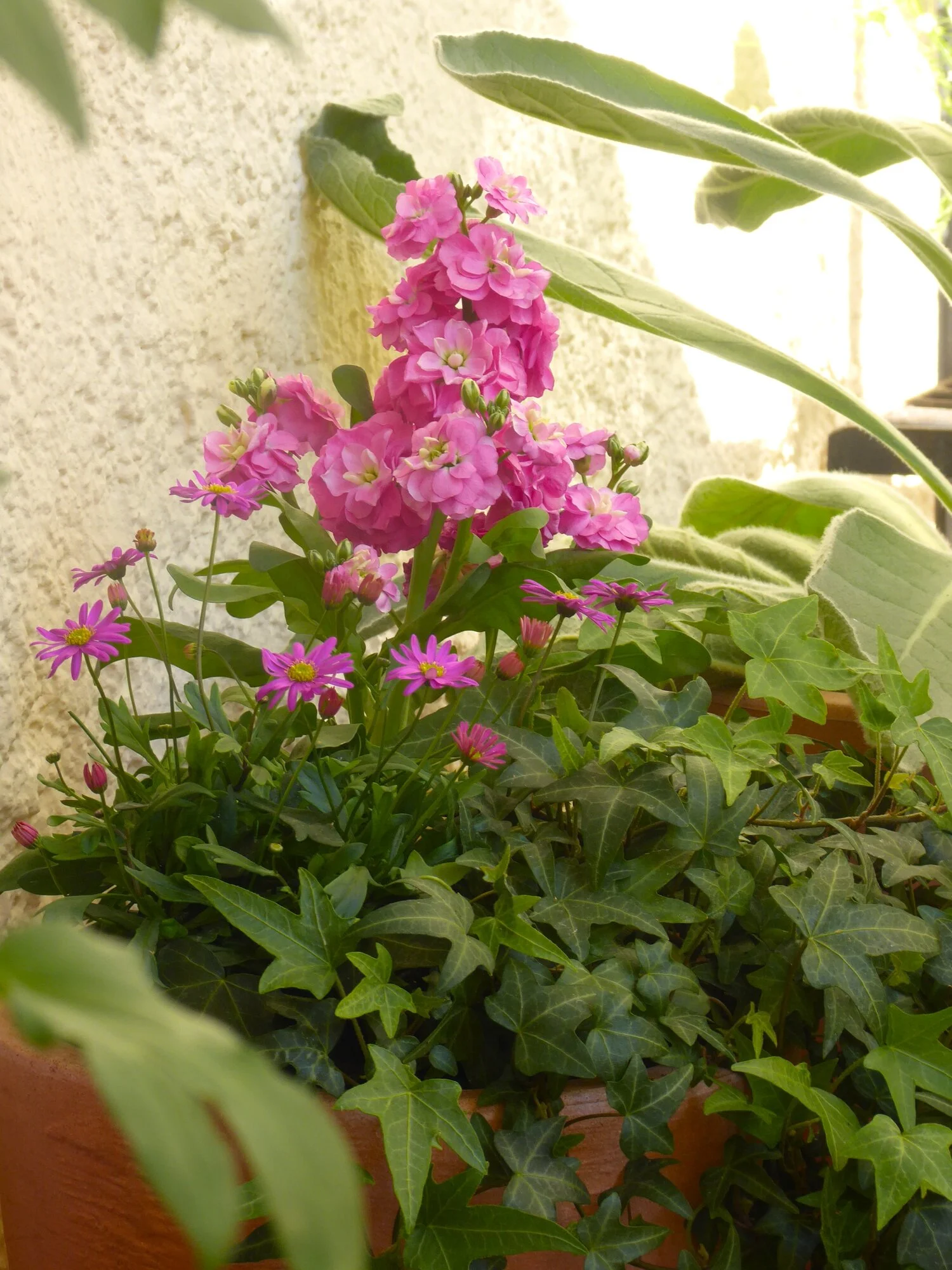 P1250262.JPG