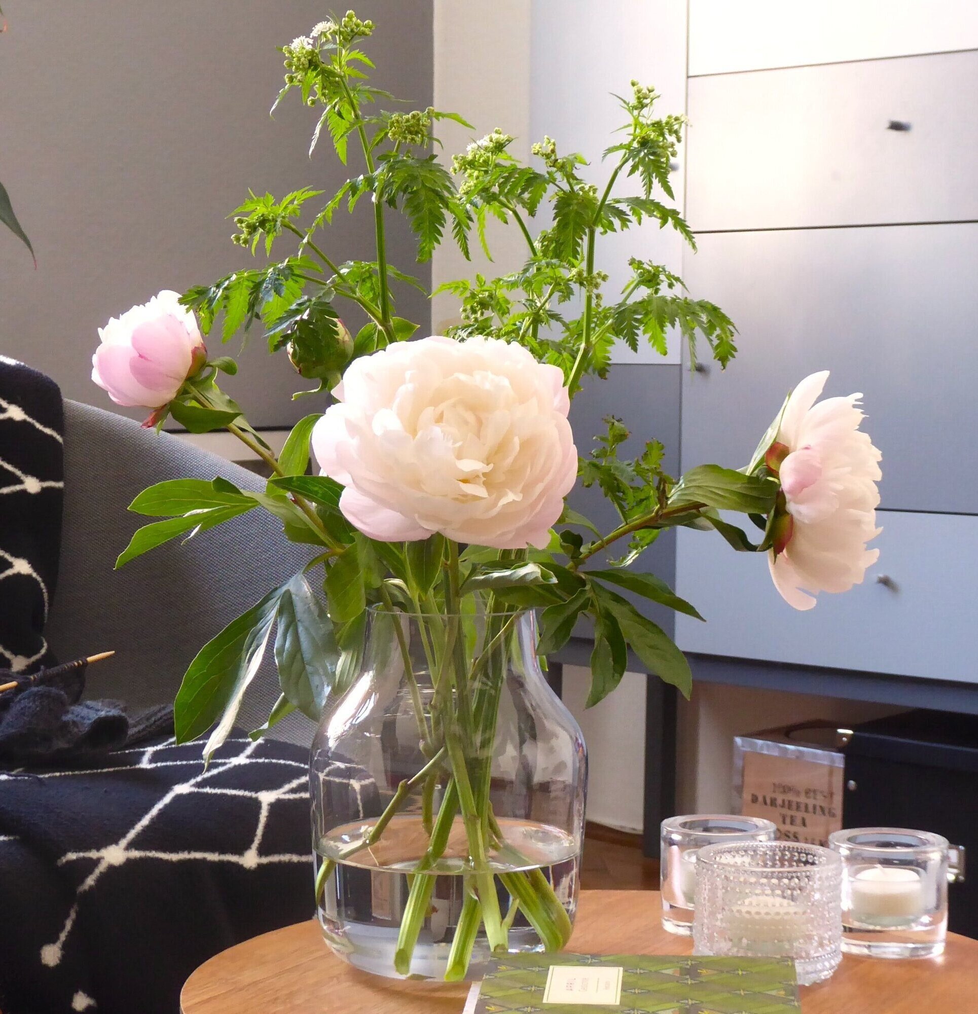 P1250275.JPG