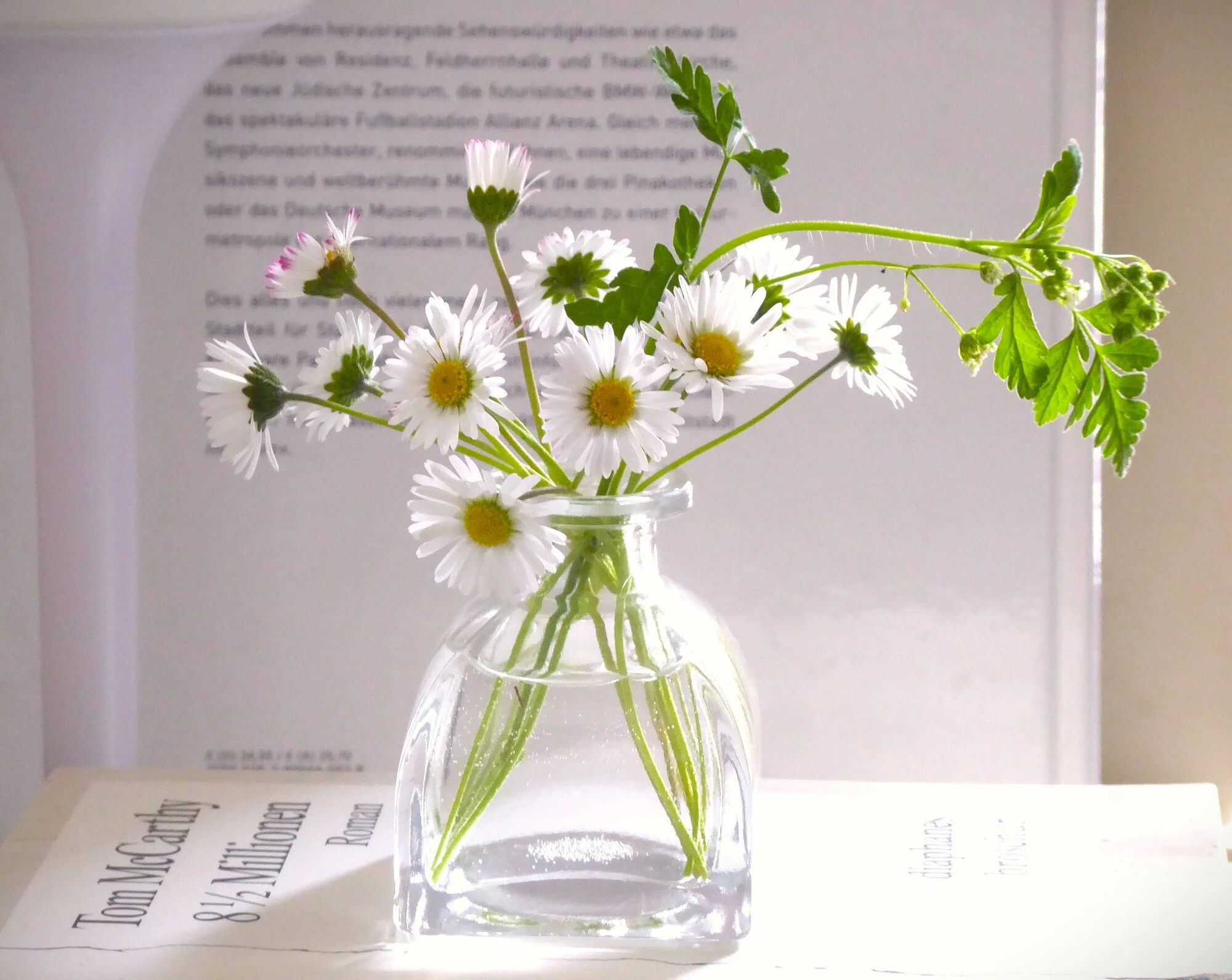P1250325.webp